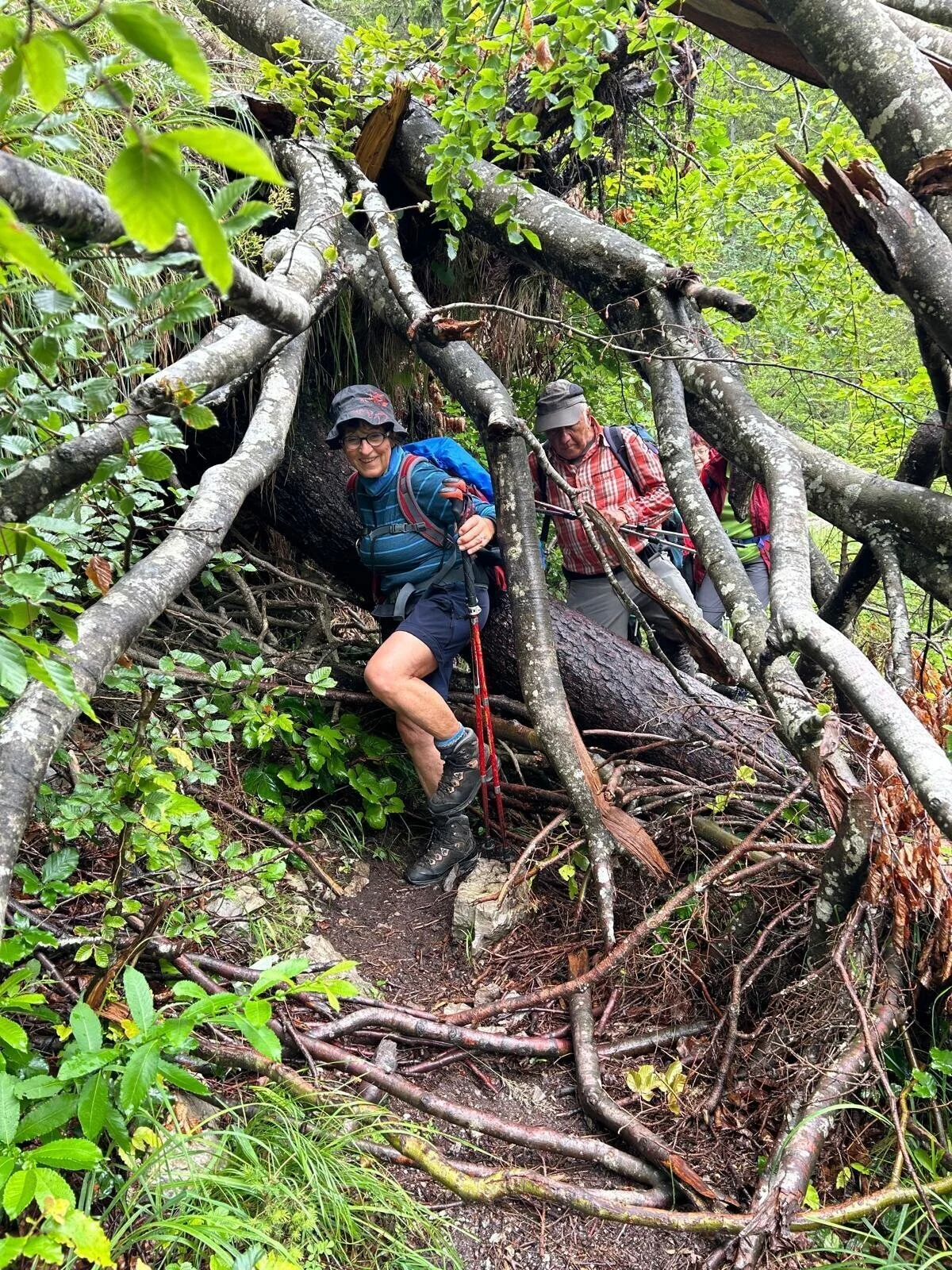 © DAV Augsburg Senioren