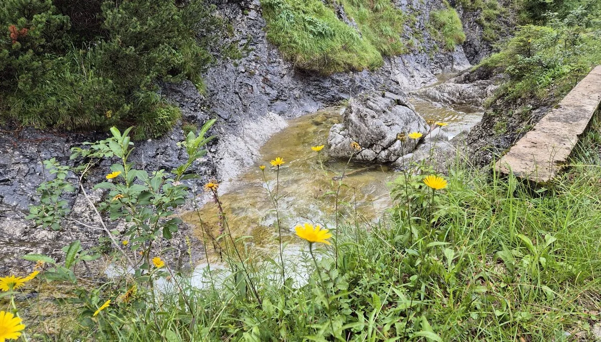 © DAV Augsburg Senioren