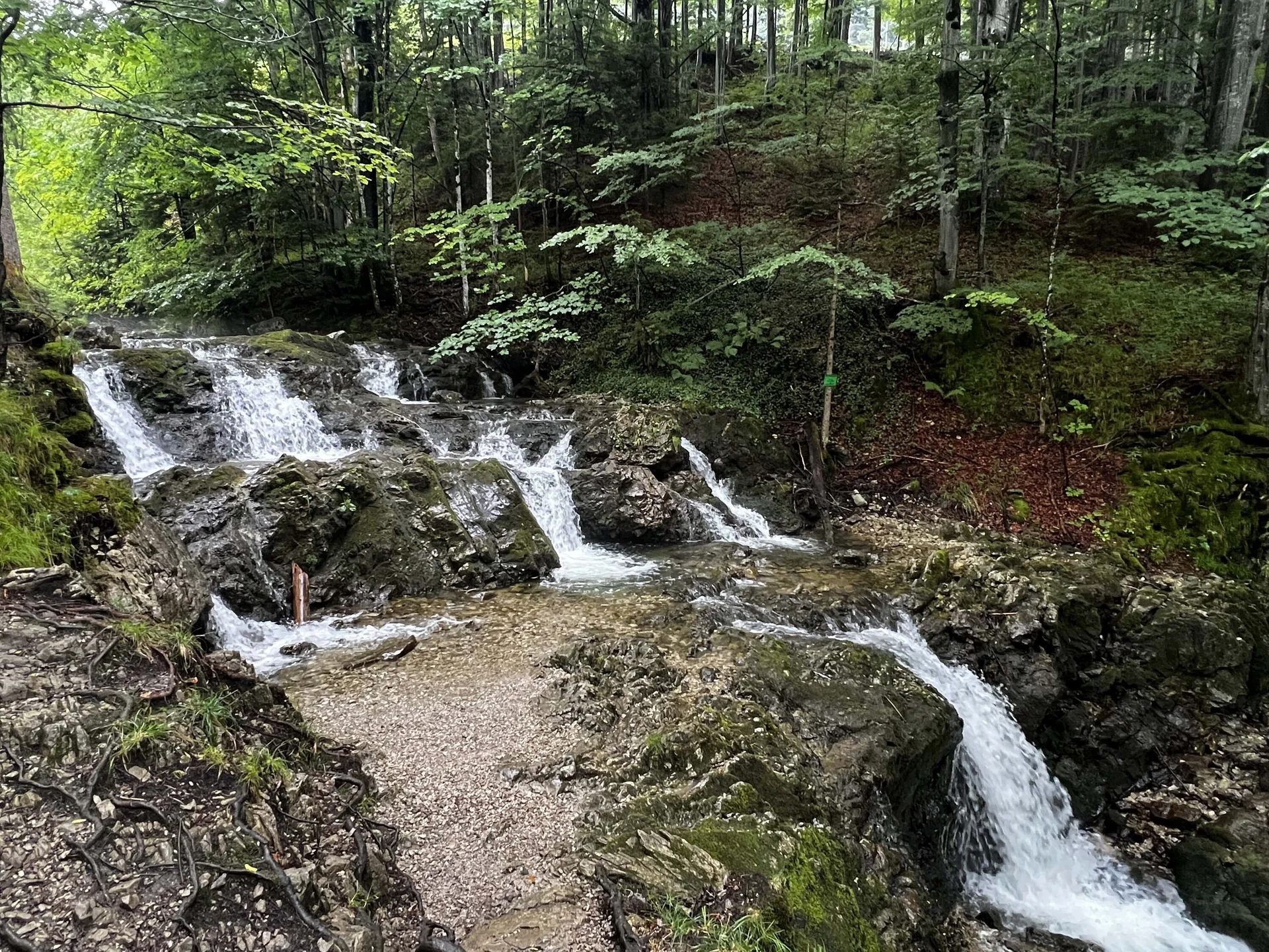 © DAV Augsburg Senioren