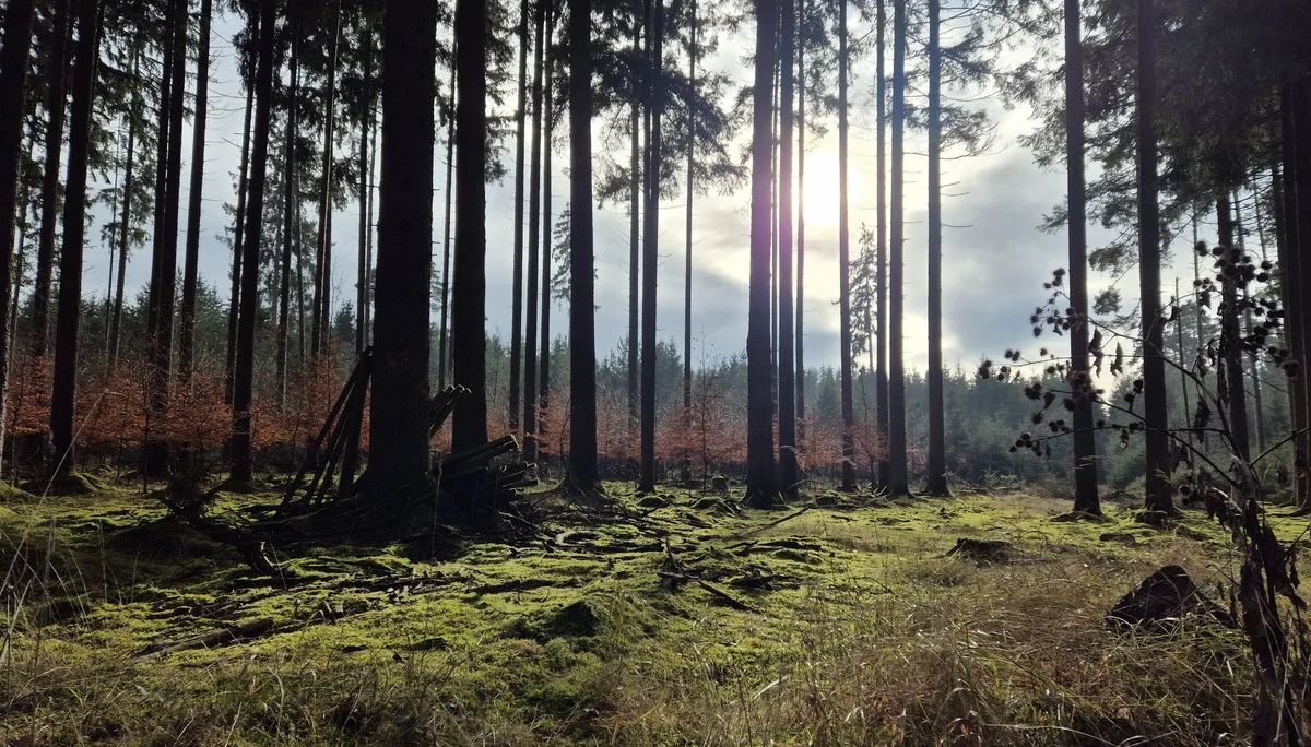 © DAV Augsburg Senioren