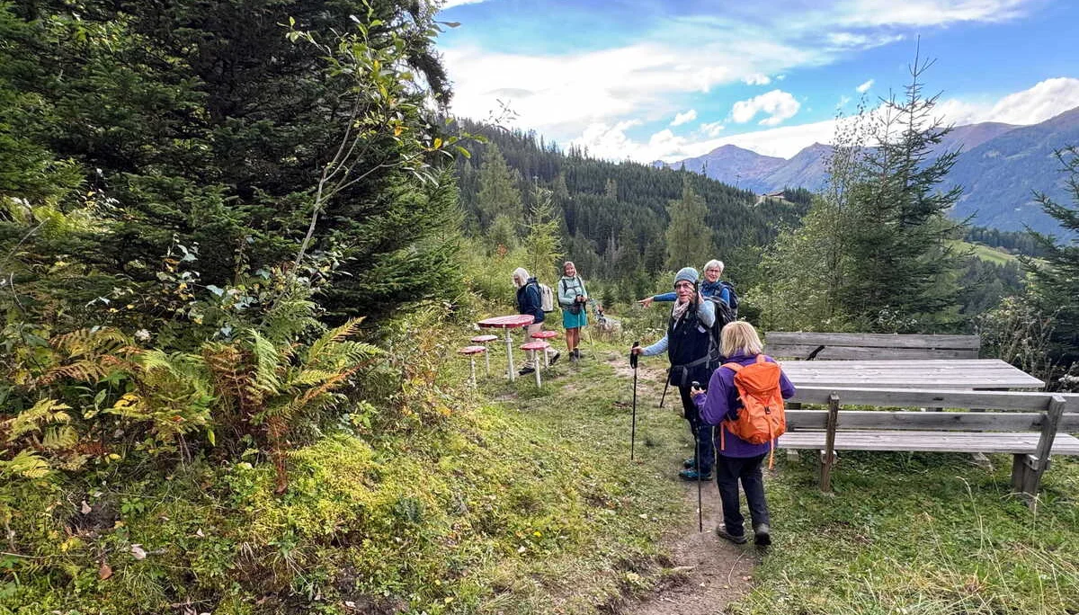 Almenrunde Dorfgastein | © DAV Augsburg Senioren