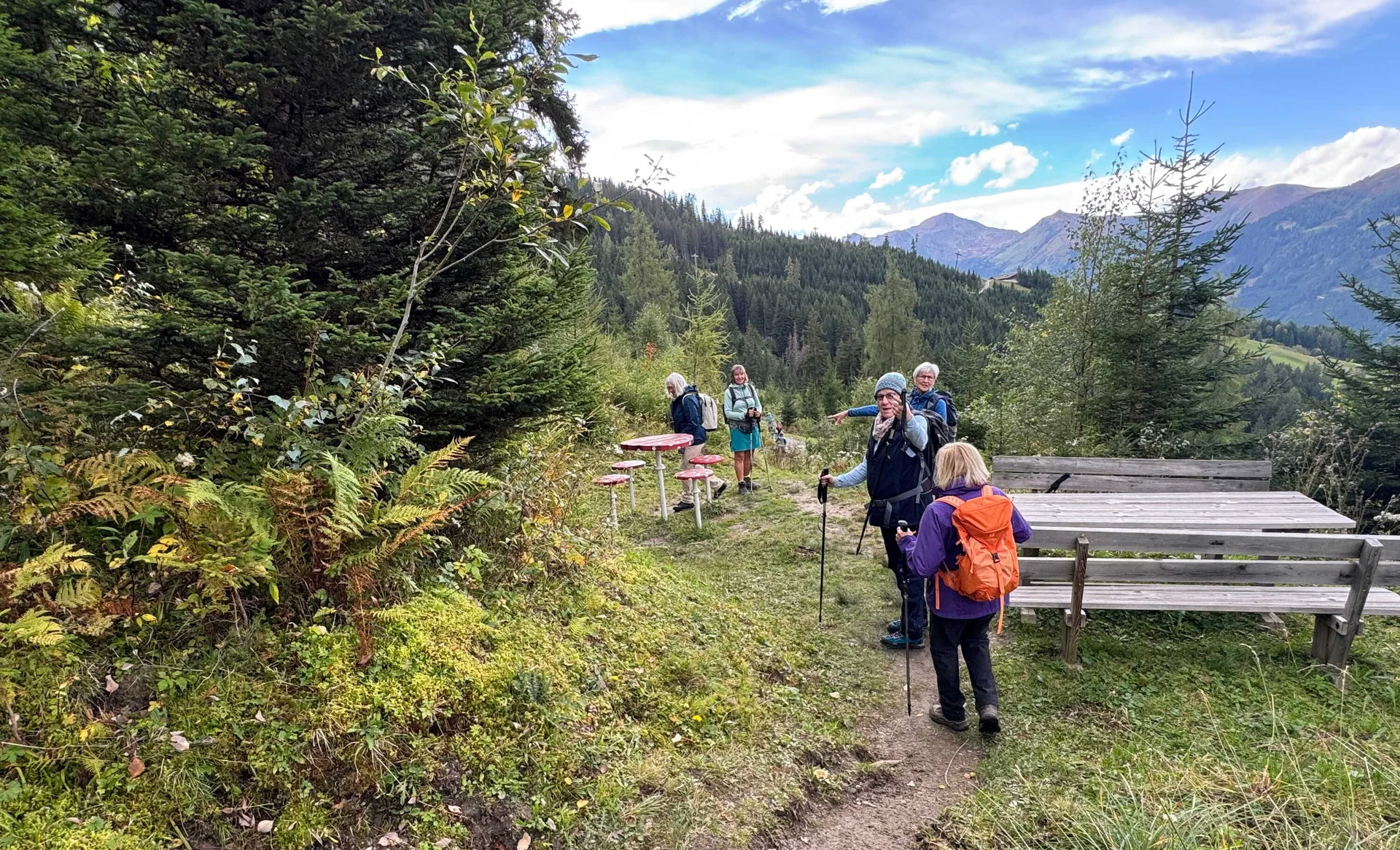 Almenrunde Dorfgastein | © DAV Augsburg Senioren