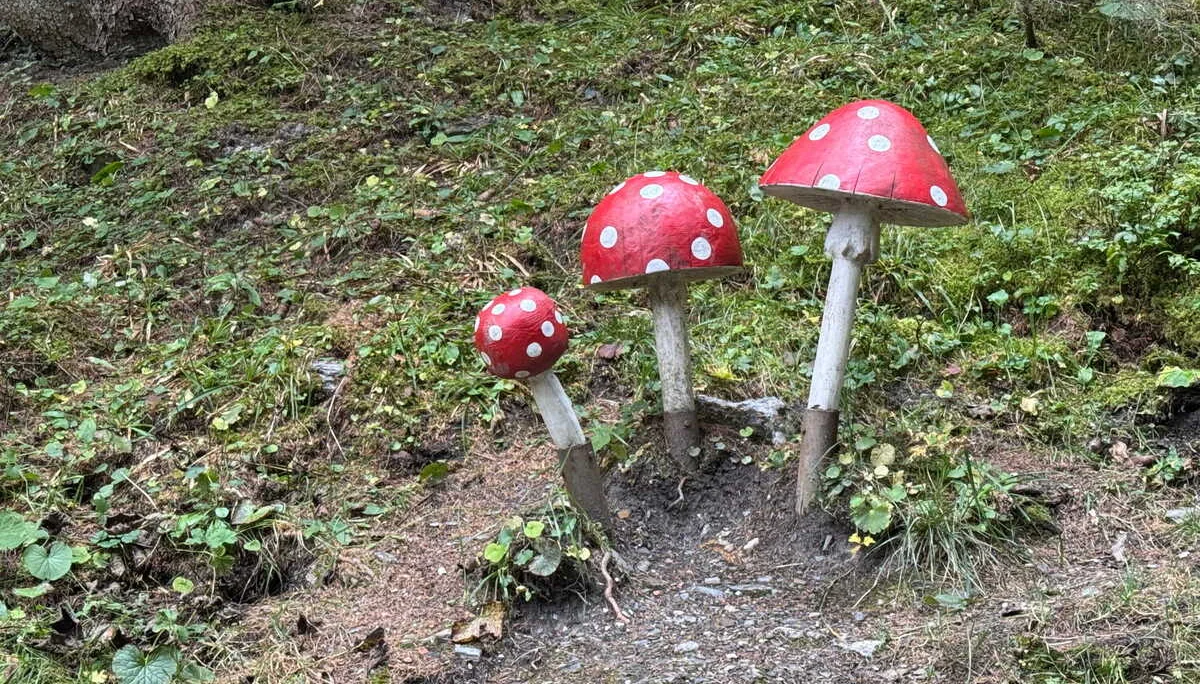 Almenrunde Dorfgastein | © DAV Augsburg Senioren