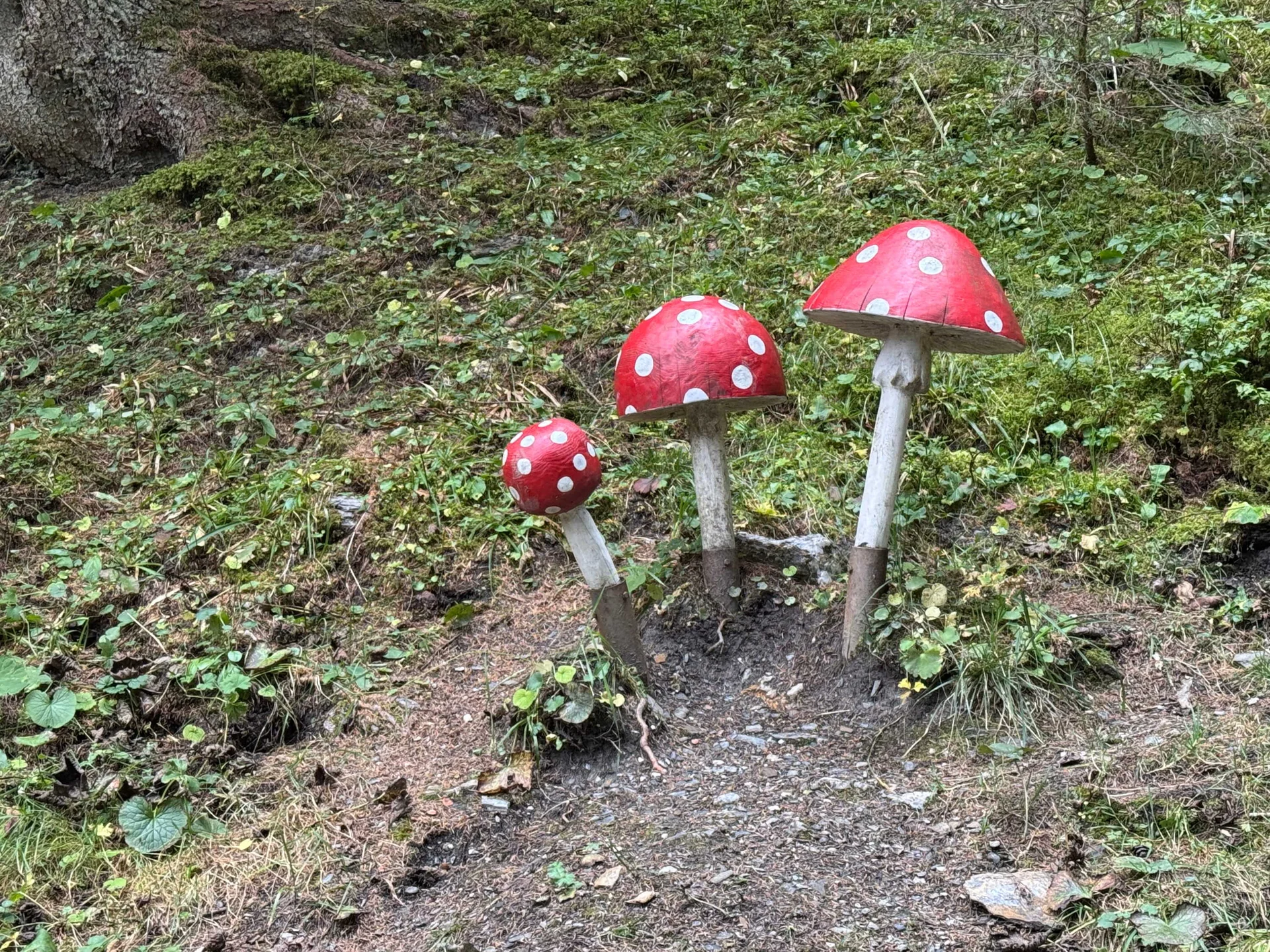 Almenrunde Dorfgastein | © DAV Augsburg Senioren