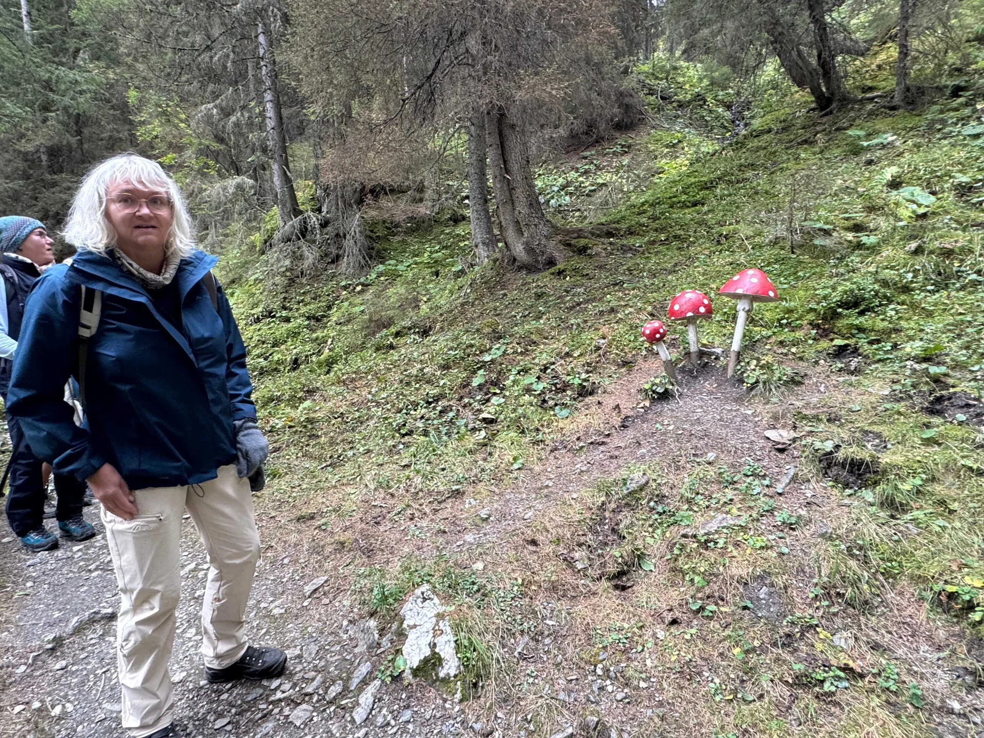 Almenrunde Dorfgastein | © DAV Augsburg Senioren