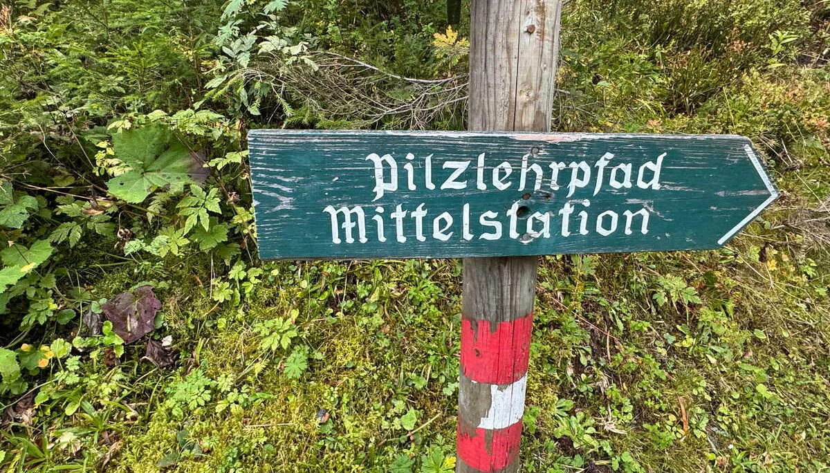 Almenrunde Dorfgastein | © DAV Augsburg Senioren