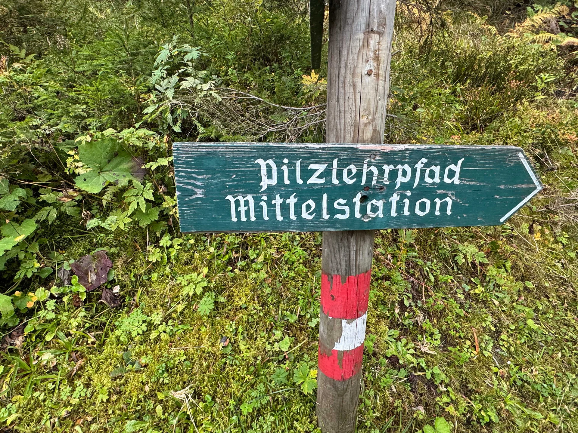 Almenrunde Dorfgastein | © DAV Augsburg Senioren