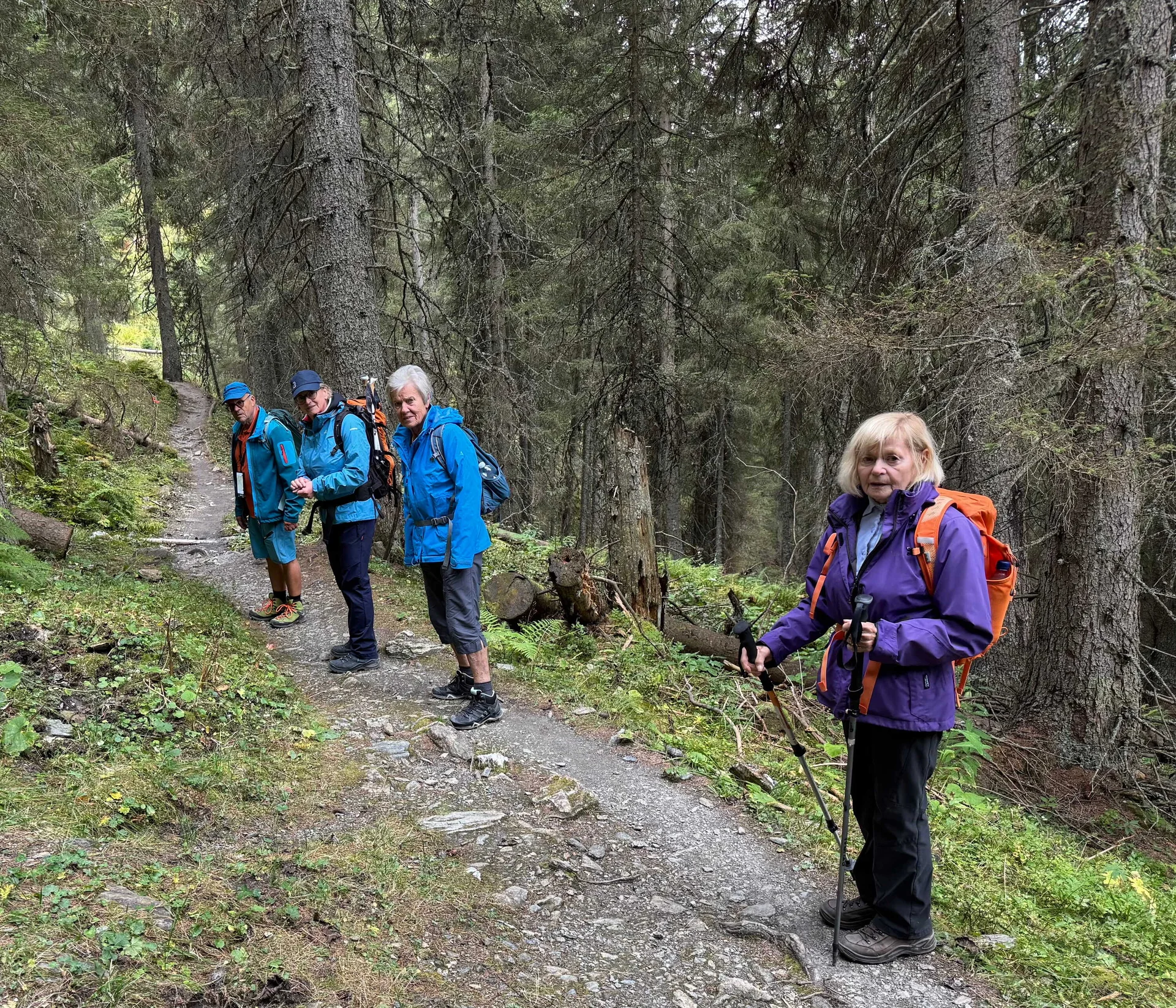 Almenrunde Dorfgastein | © DAV Augsburg Senioren