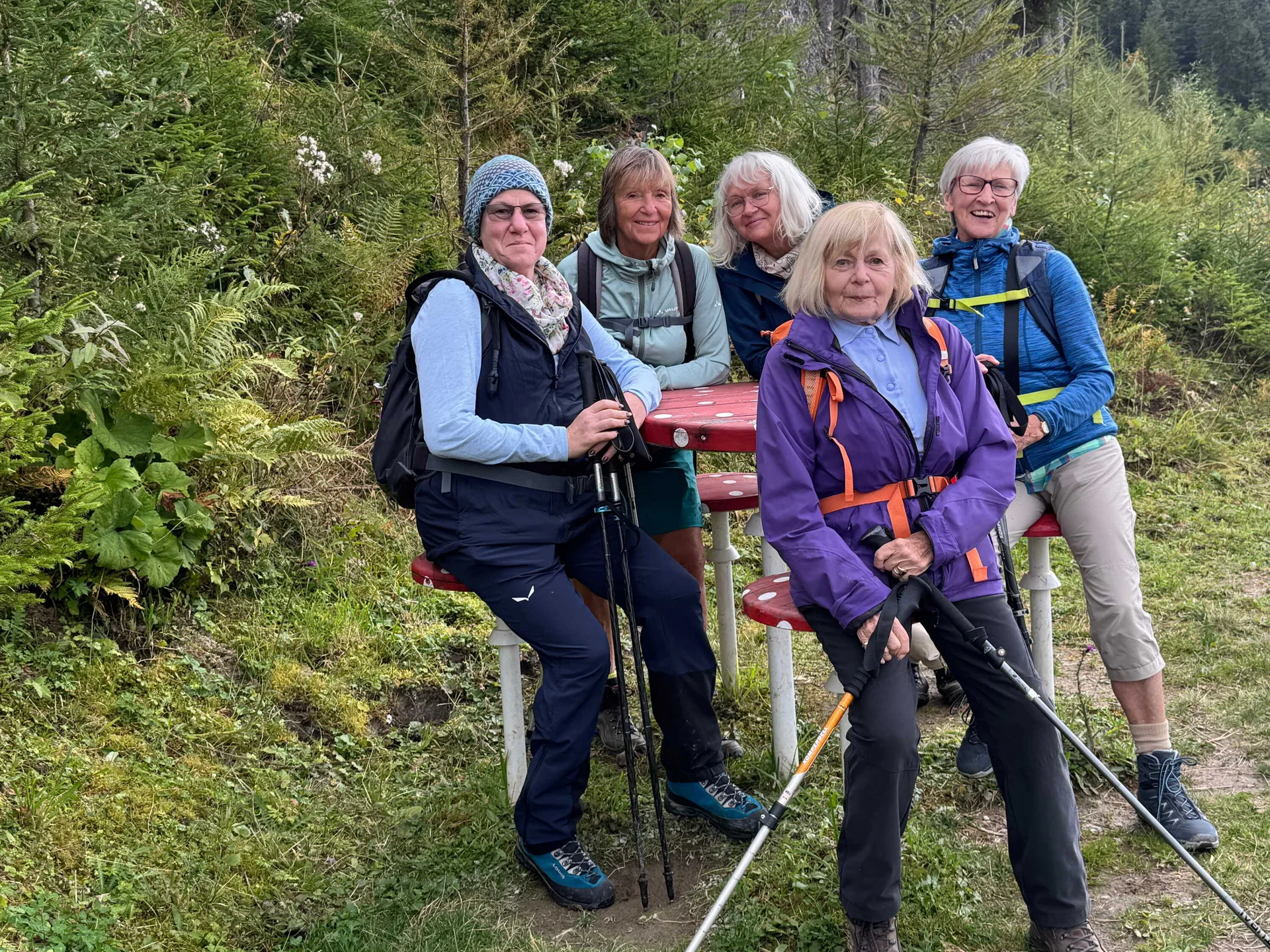 Almenrunde Dorfgastein | © DAV Augsburg Senioren