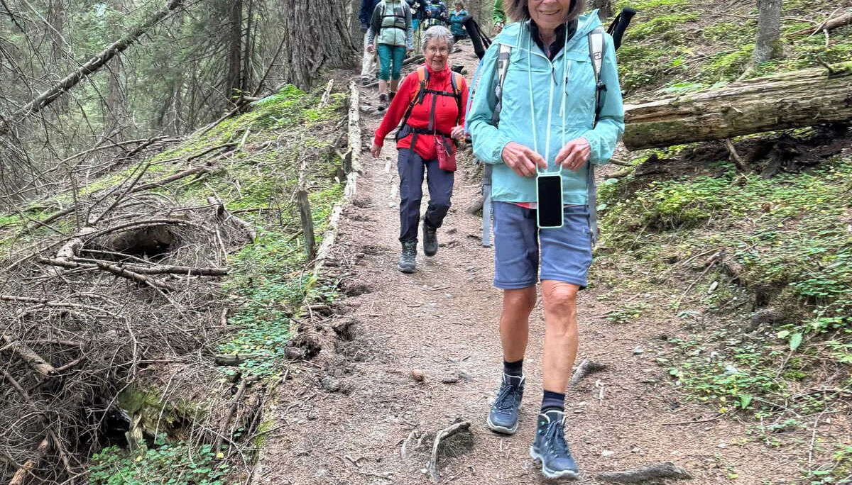 Almenrunde Dorfgastein | © DAV Augsburg Senioren