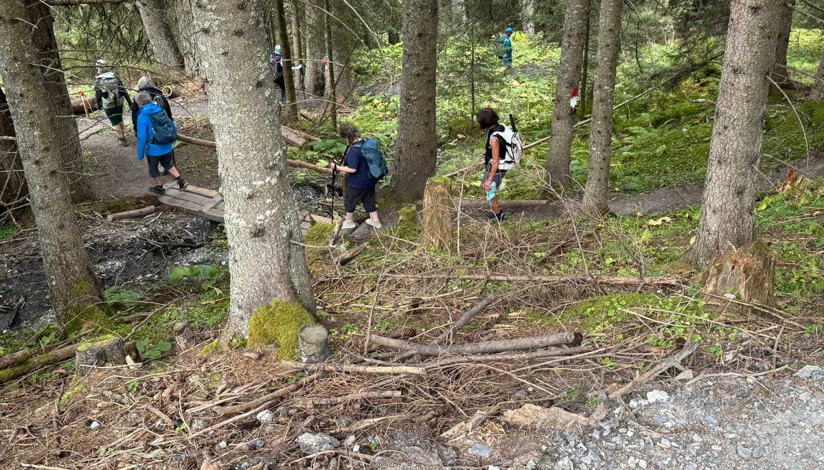Almenrunde Dorfgastein | © DAV Augsburg Senioren