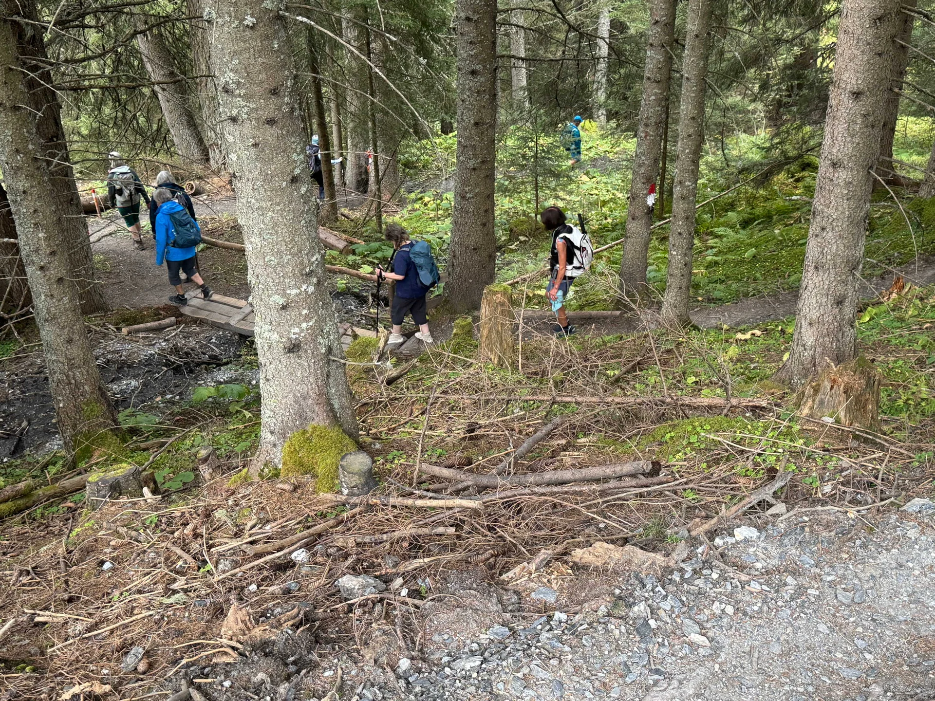Almenrunde Dorfgastein | © DAV Augsburg Senioren