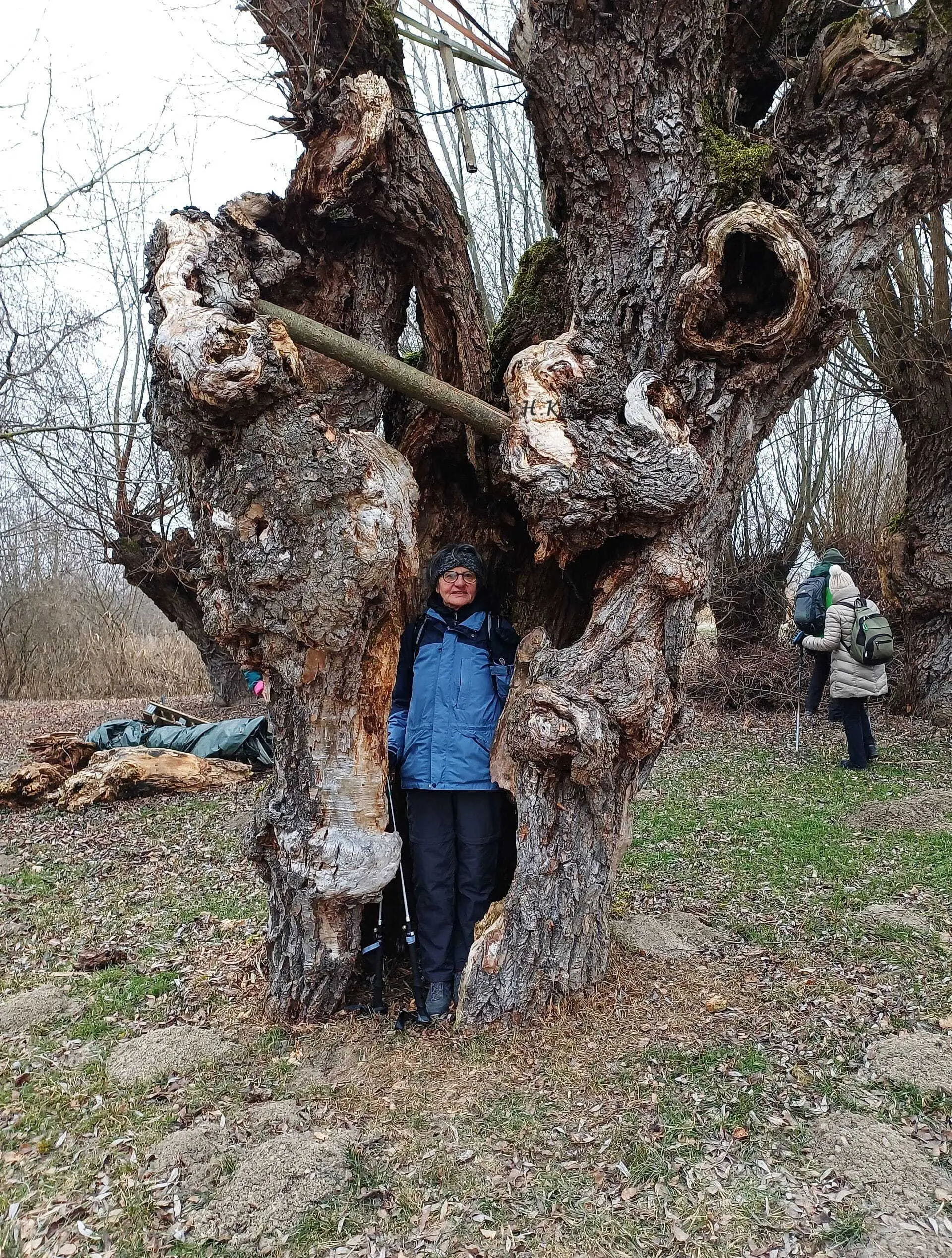 © DAV Augsburg Senioren