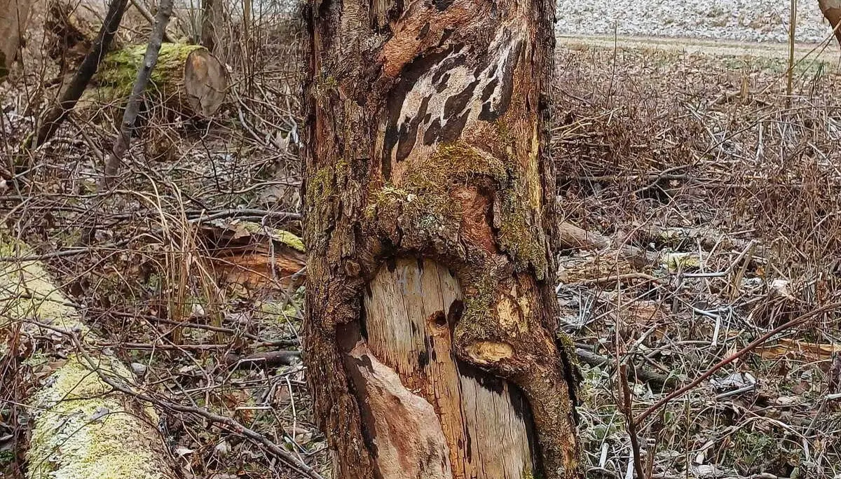 © DAV Augsburg Senioren