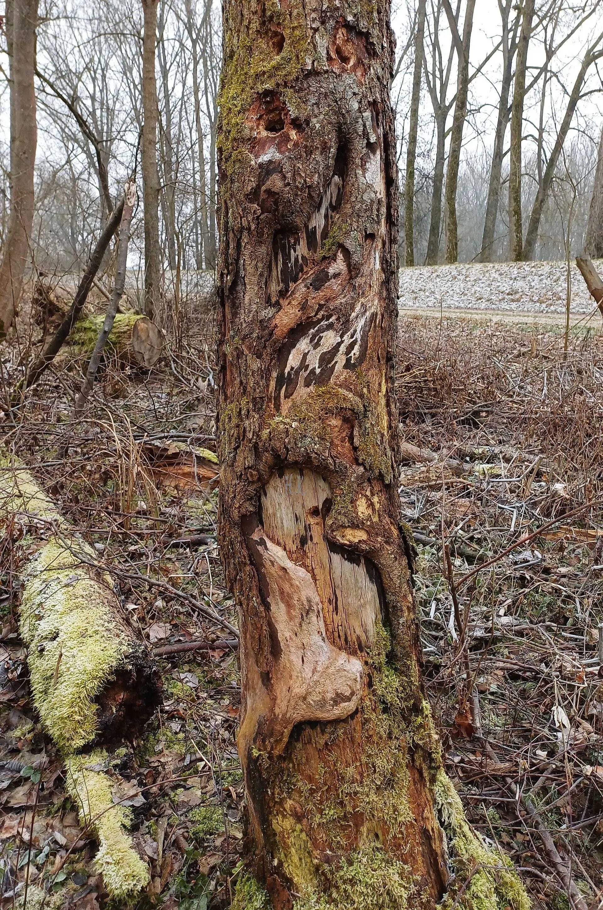 © DAV Augsburg Senioren