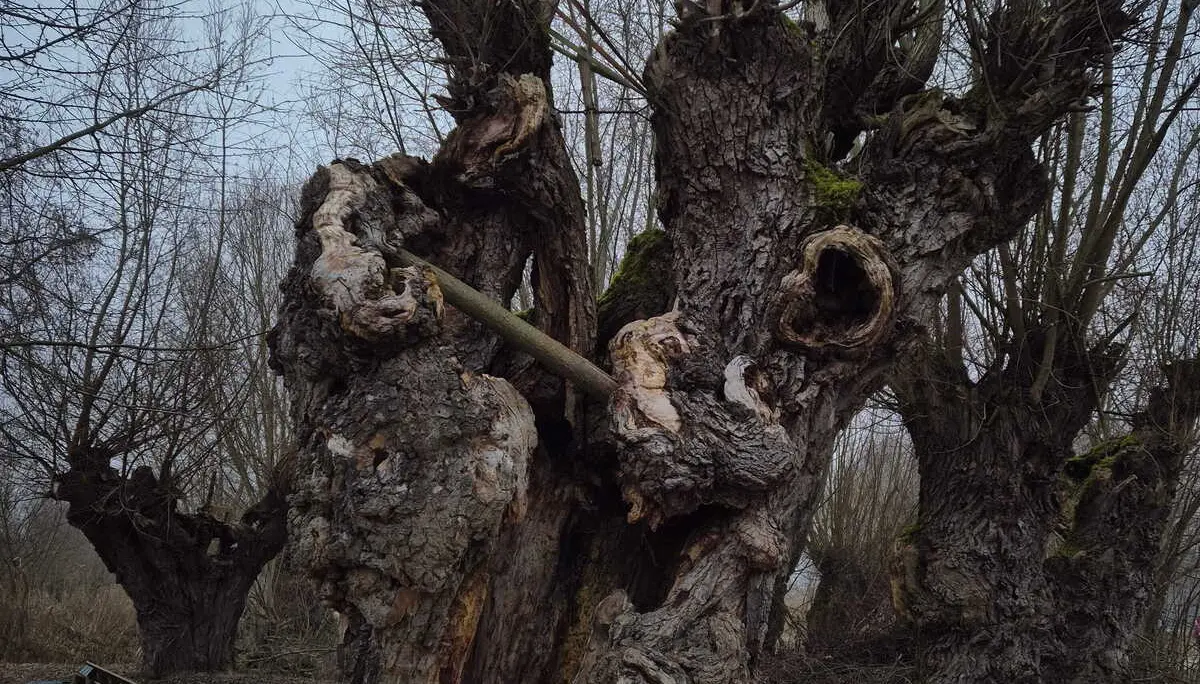 © DAV Augsburg Senioren