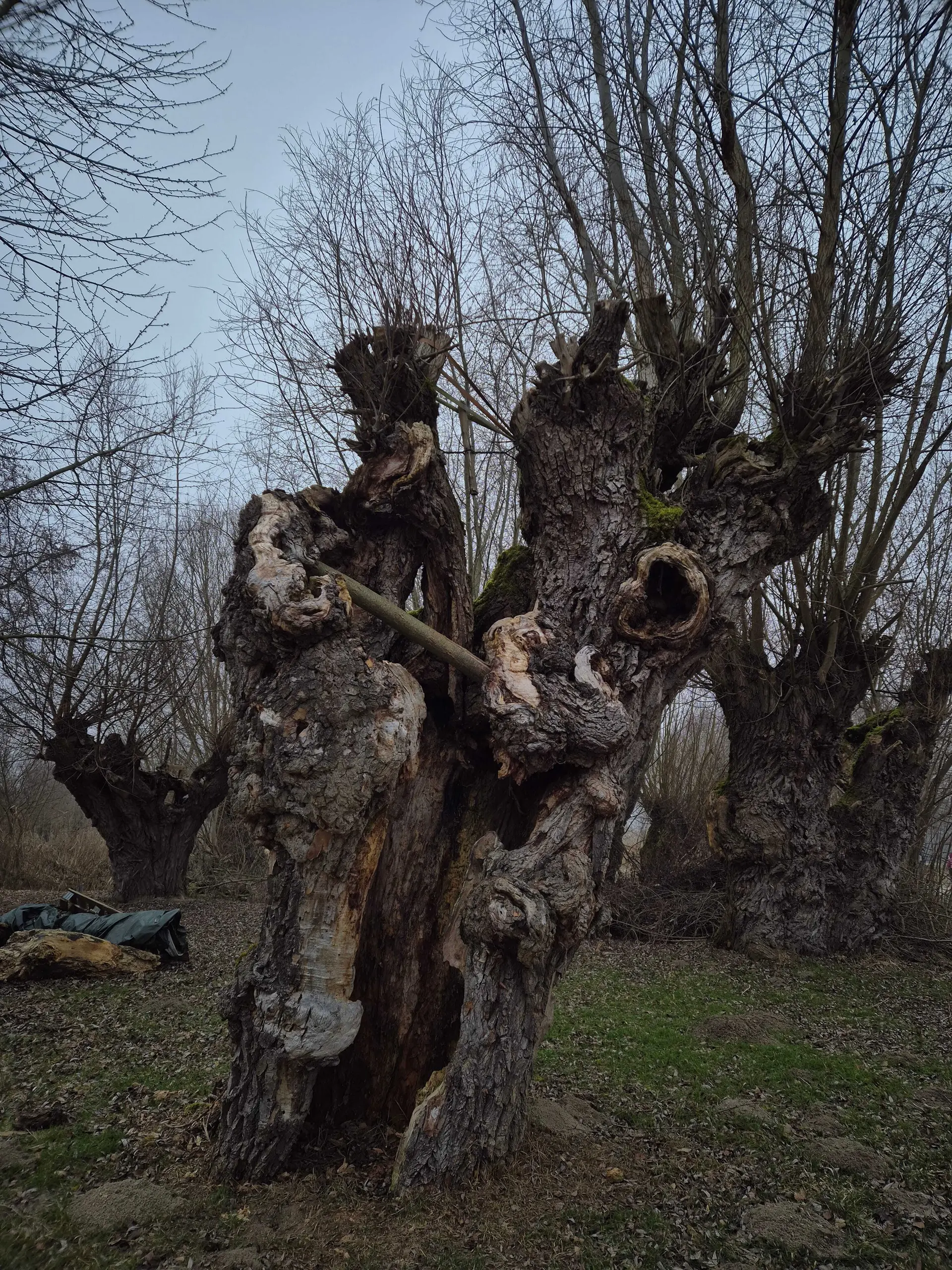 © DAV Augsburg Senioren