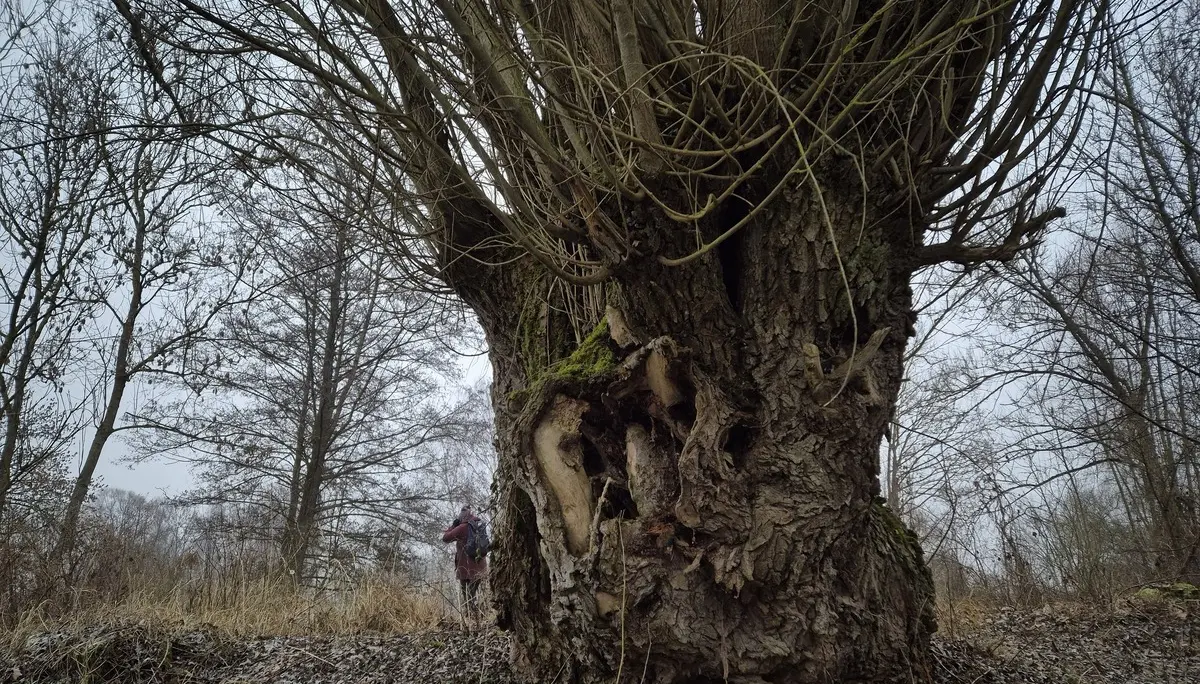 © DAV Augsburg Senioren