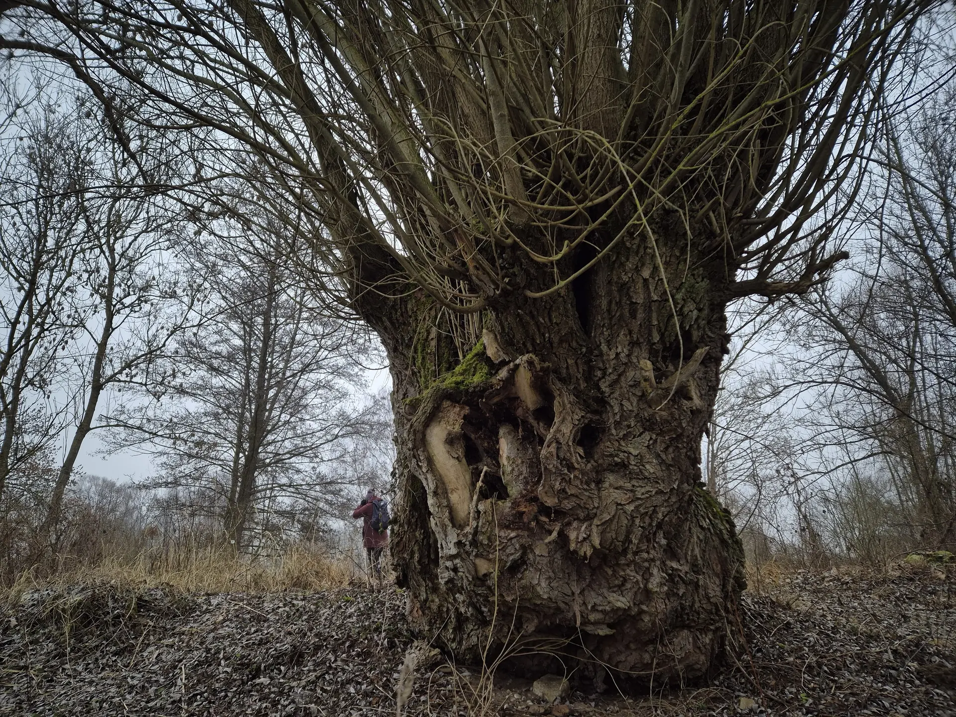 © DAV Augsburg Senioren