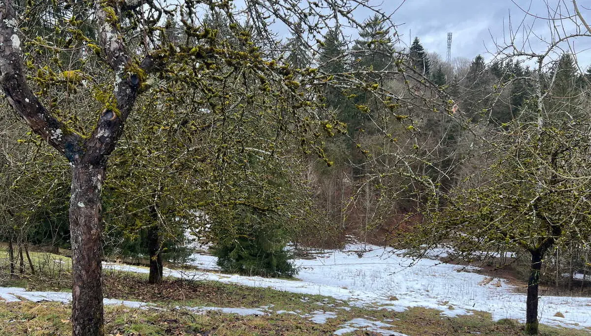 Am Ludwig-Donau-Main Kanal | © DAV Augsburg Senioren