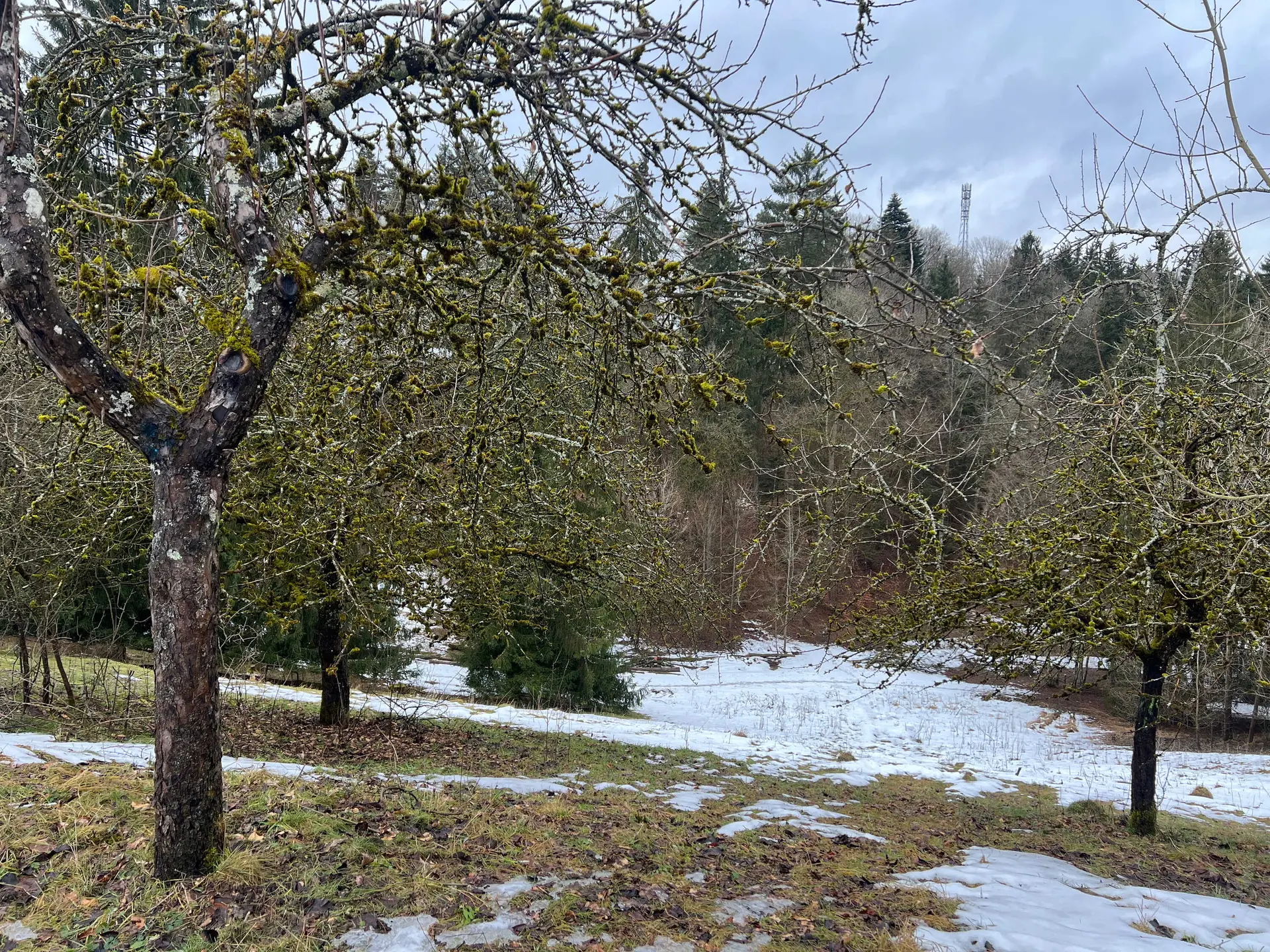 Am Ludwig-Donau-Main Kanal | © DAV Augsburg Senioren