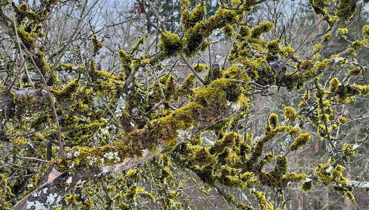 Am Ludwig-Donau-Main Kanal | © DAV Augsburg Senioren
