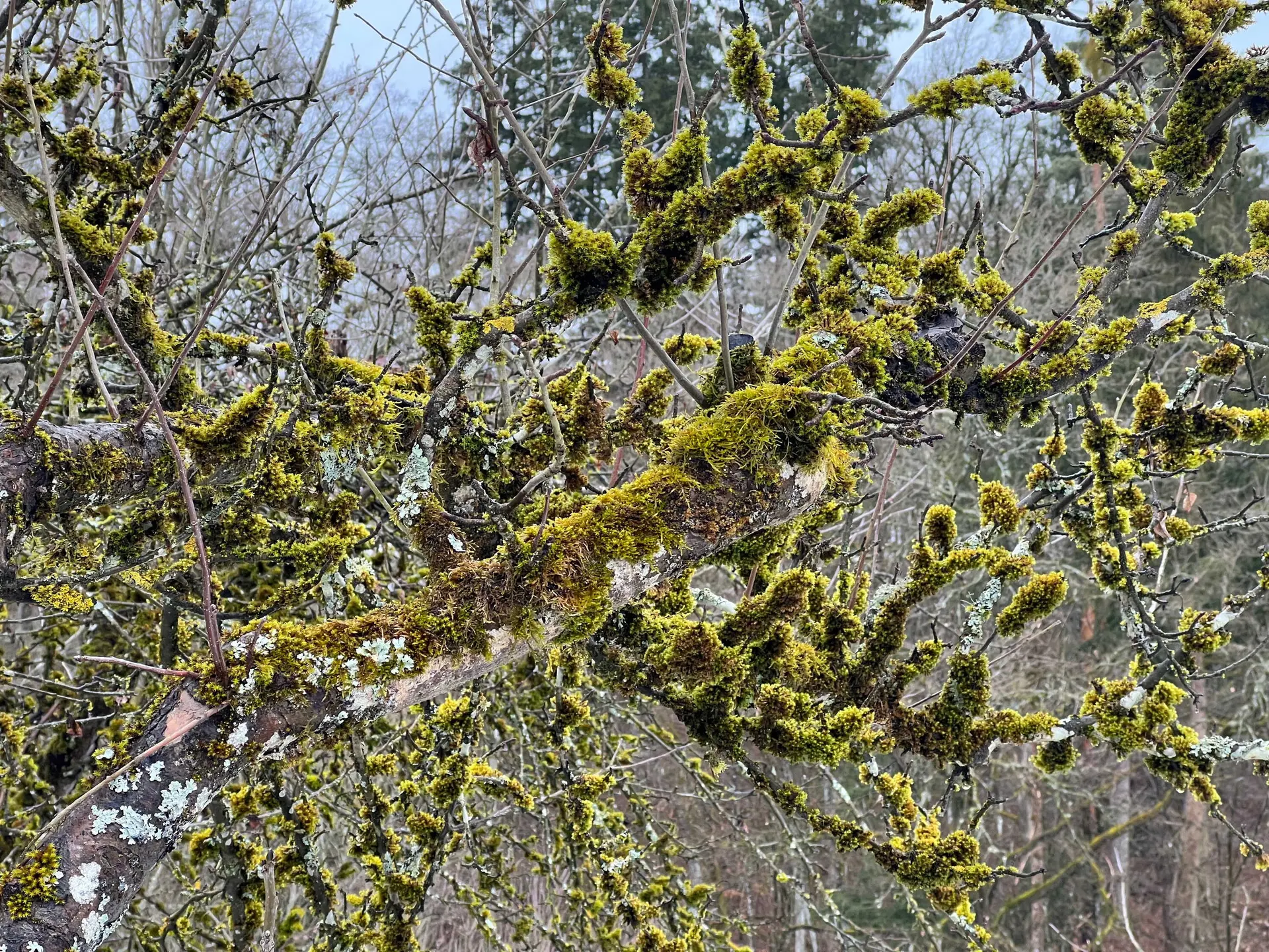 Am Ludwig-Donau-Main Kanal | © DAV Augsburg Senioren