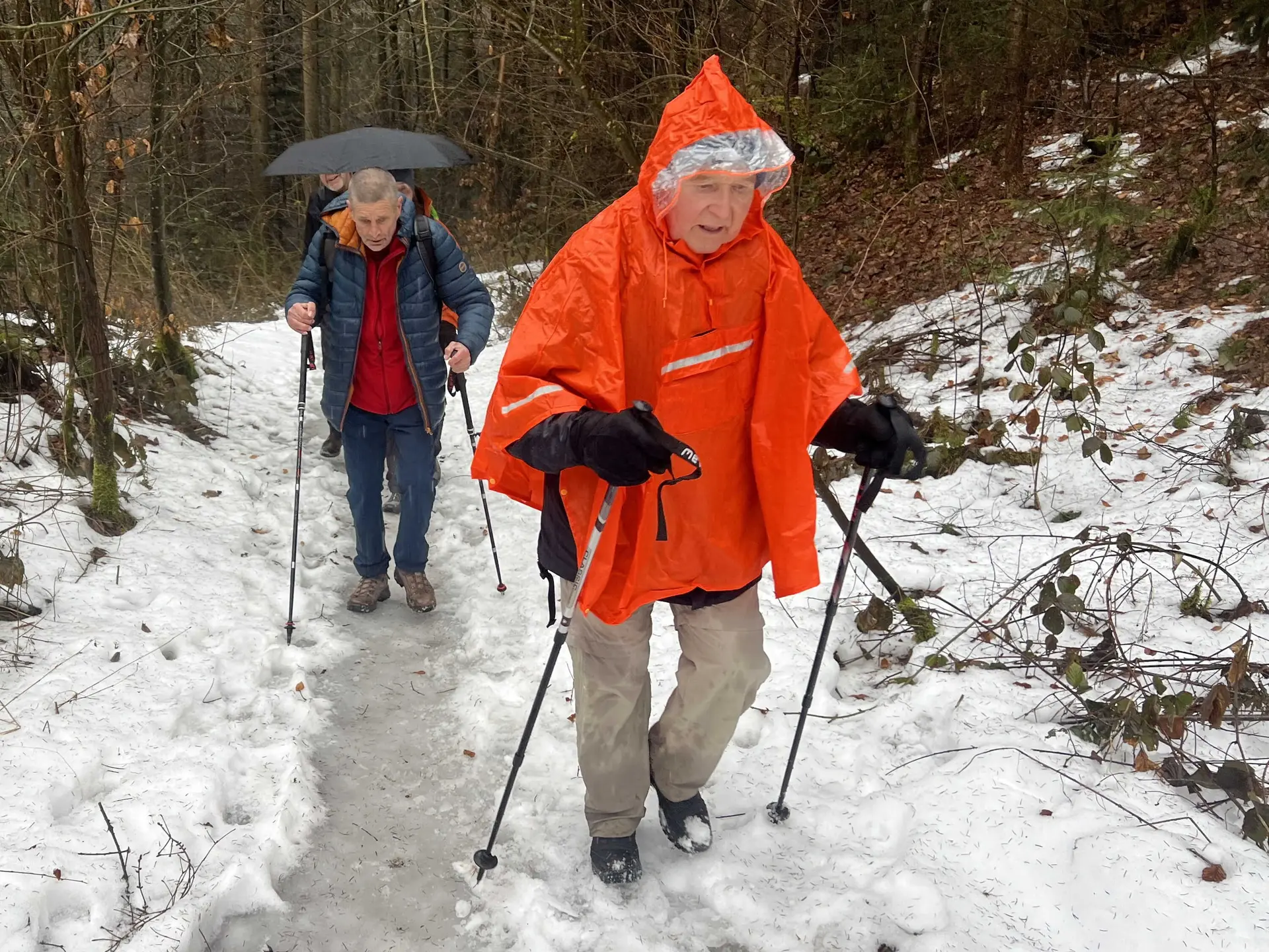 In Matsch und Schnee zwischen Burgthann und Grünsberg | © DAV Augsburg Senioren