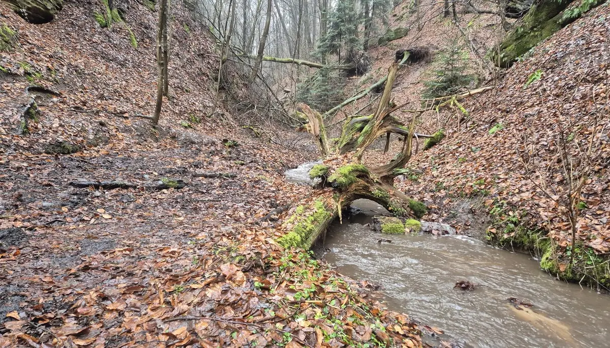 Wolfsschlucht | © DAV Augsburg Senioren