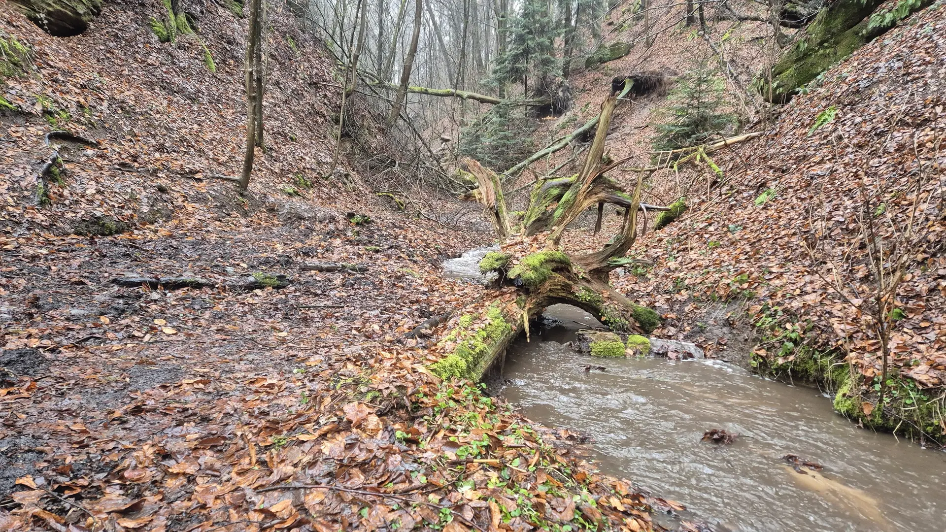 Wolfsschlucht | © DAV Augsburg Senioren