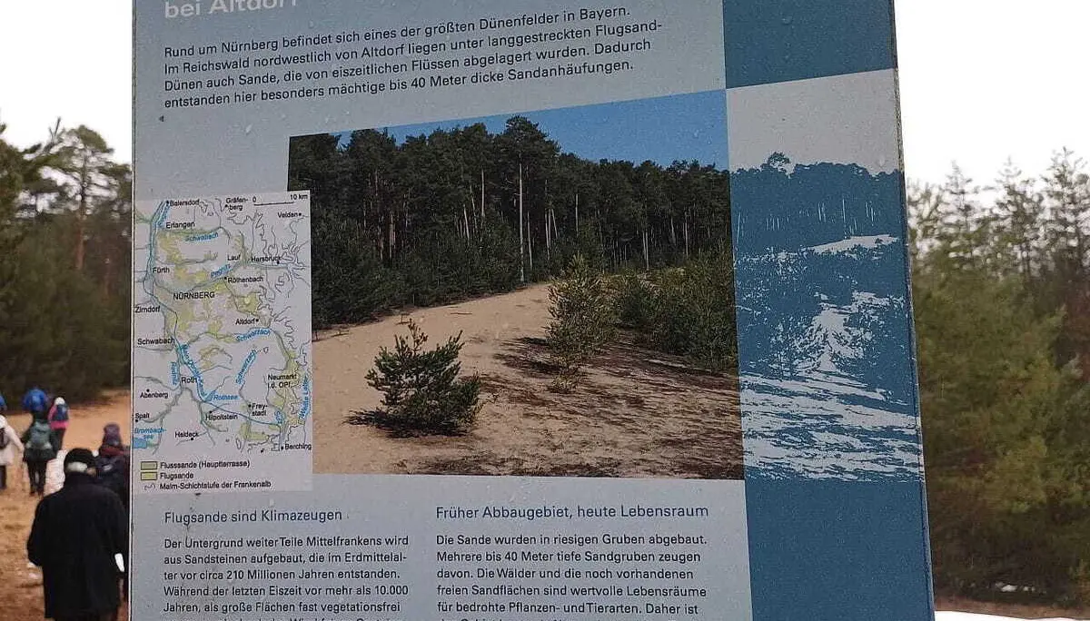Erläuterungen zu den Dünen im Nürnberger Reichswald | © DAV Augsburg Senioren