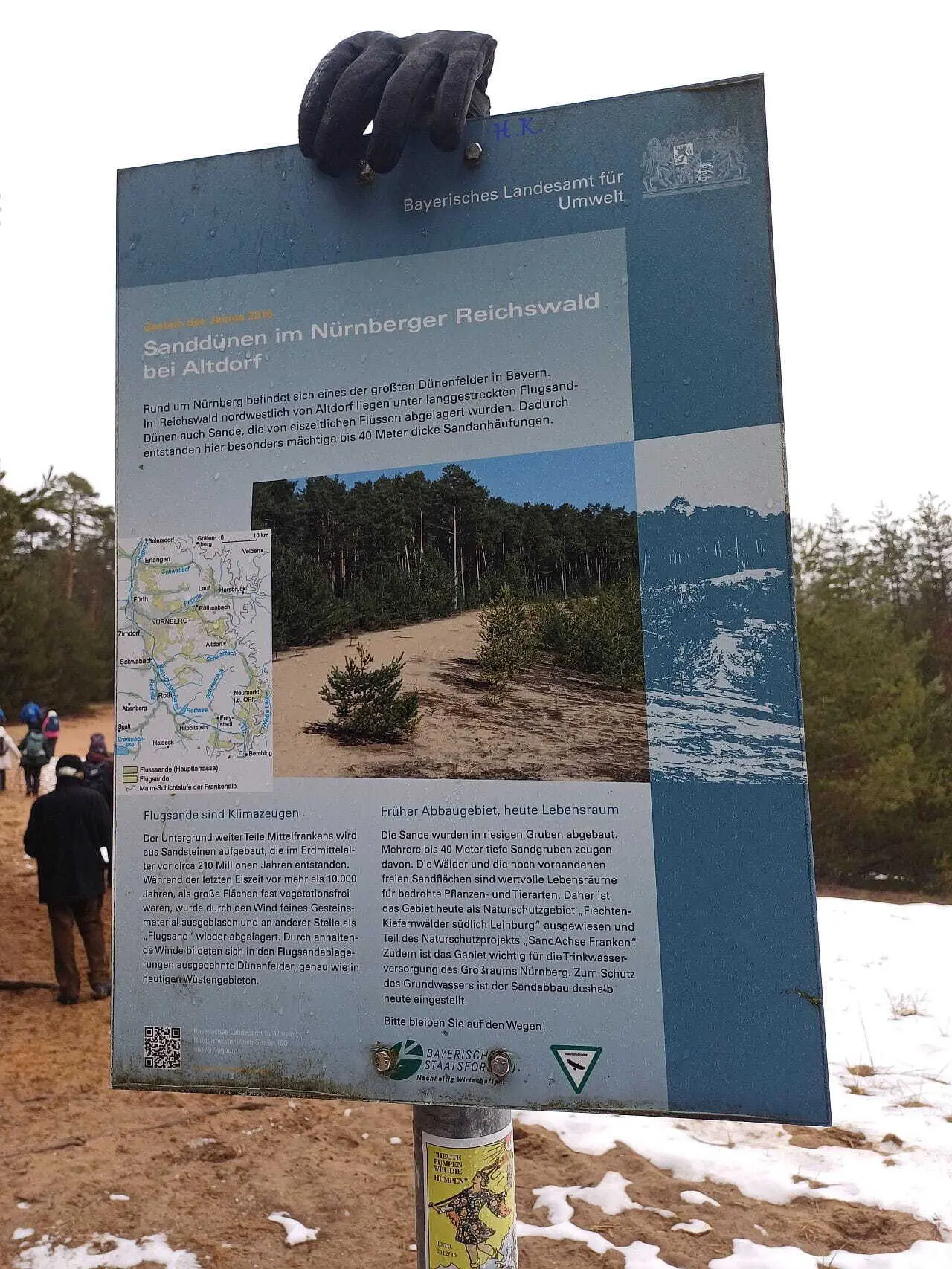 Erläuterungen zu den Dünen im Nürnberger Reichswald | © DAV Augsburg Senioren