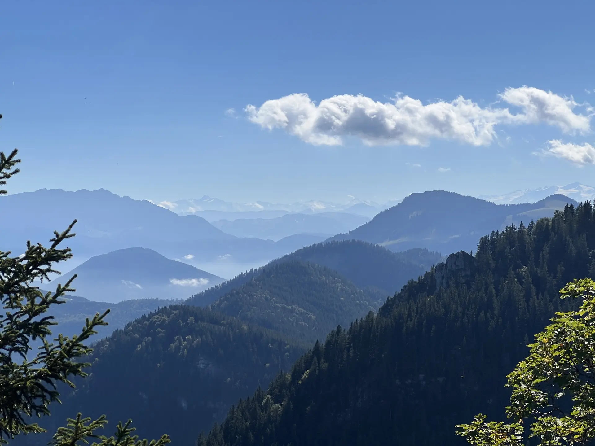  Blick von der Rampoldplatte nach Süden zu Großglockner und Großvenediger | © DAV Augsburg Senioren