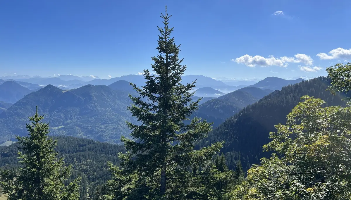 Am Gipfel der Rampoldplatte (1.422 m) - Blick nach Süden zu den Hohen Tauern | © DAV Augsburg Senioren