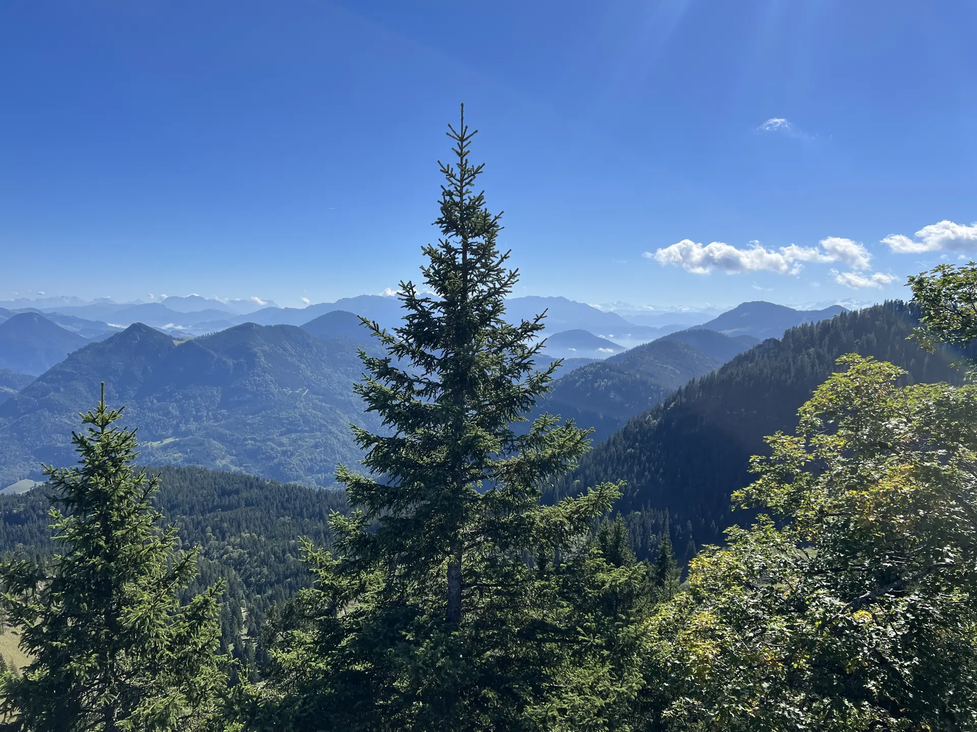 Am Gipfel der Rampoldplatte (1.422 m) - Blick nach Süden zu den Hohen Tauern | © DAV Augsburg Senioren