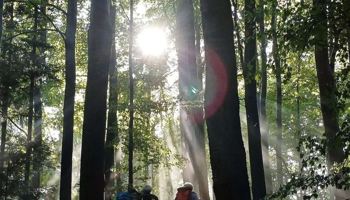 Sonnenlicht bricht sich seinen Weg | © DAV Augsburg Senioren
