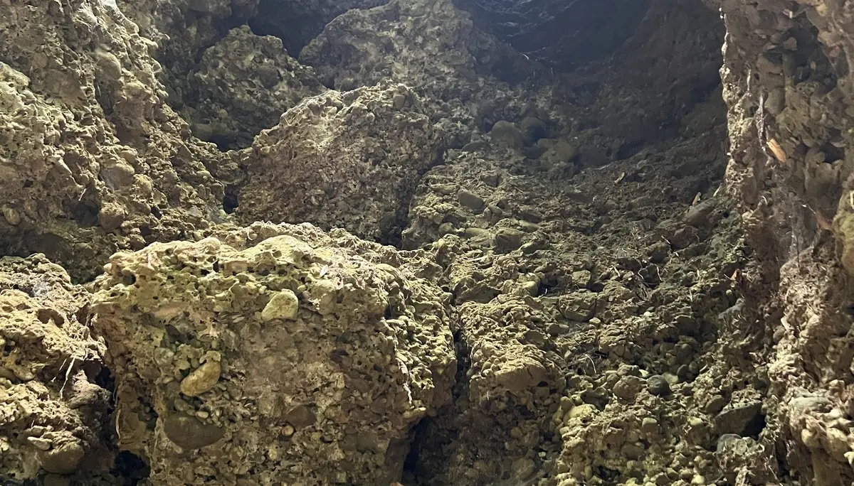 Eiszeitliche Bohrlöcher im Flysch - die Geologischen Orgeln | © DAV Augsburg Senioren
