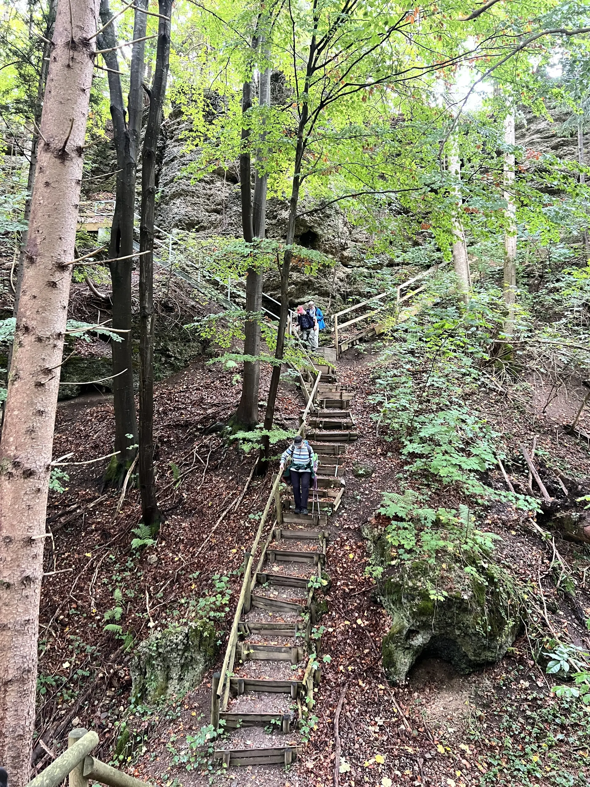 Abstieg von den Geologischen Orgeln | © DAV Augsburg Senioren