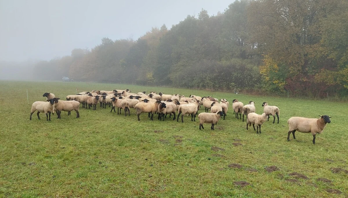 © DAV Augsburg Senioren