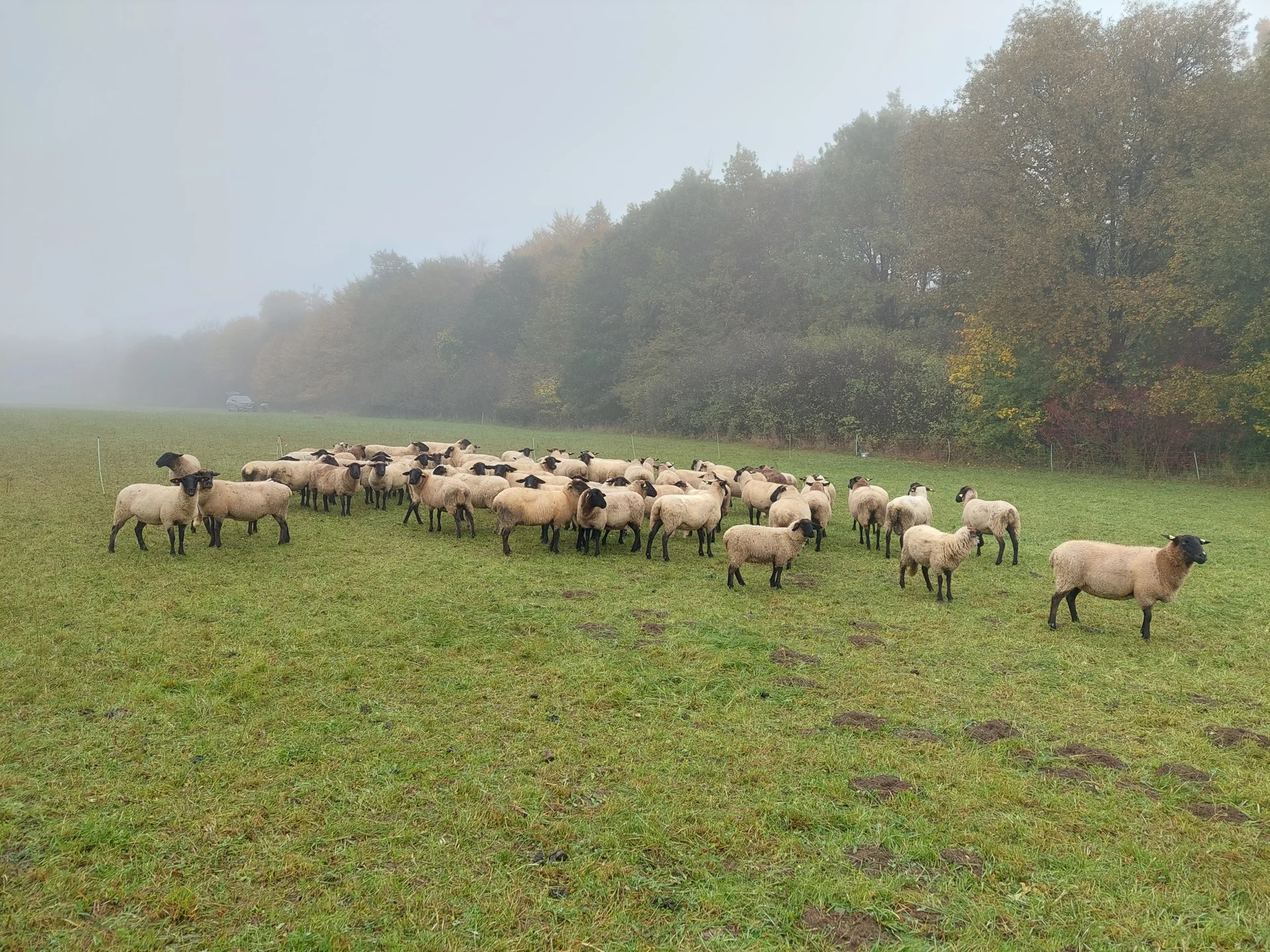 © DAV Augsburg Senioren