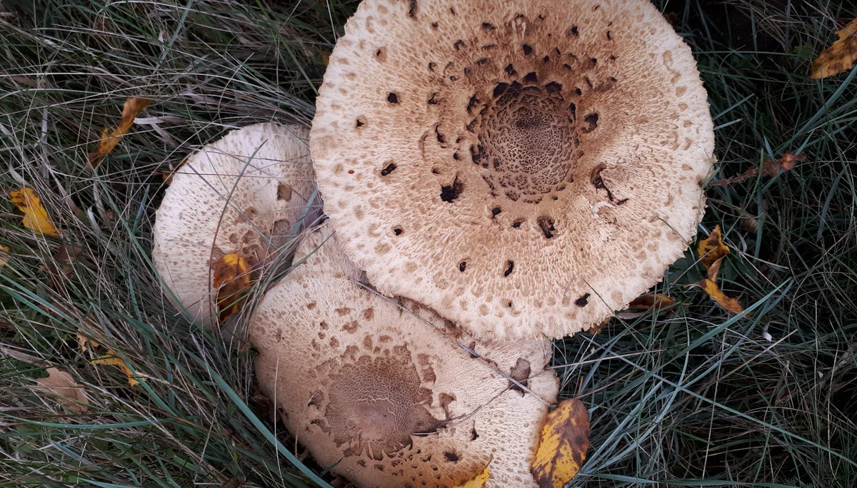 © DAV Augsburg Senioren