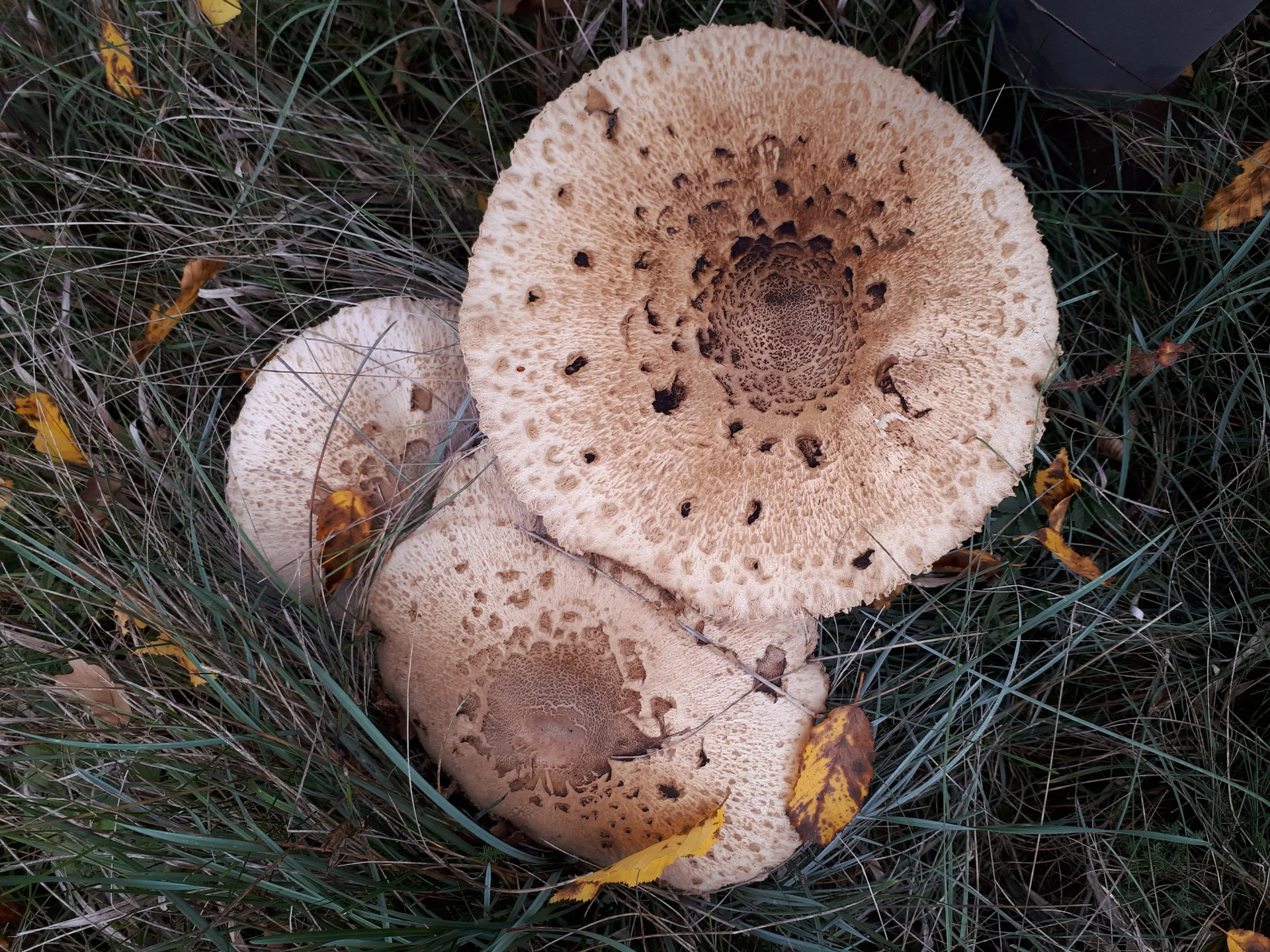 © DAV Augsburg Senioren