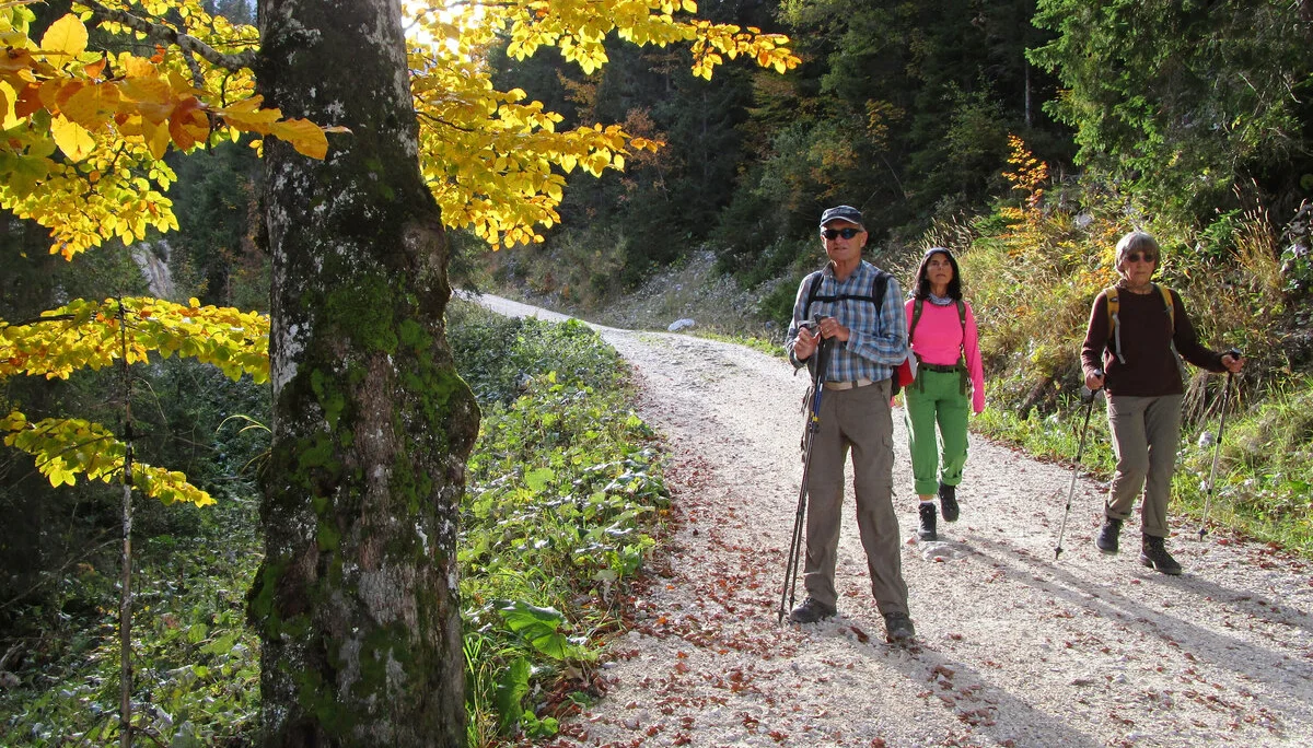 © DAV Augsburg Senioren