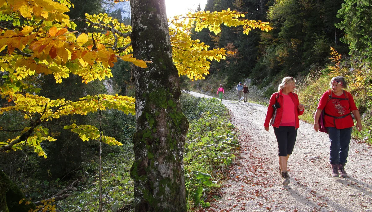 © DAC Augsburg Senioren