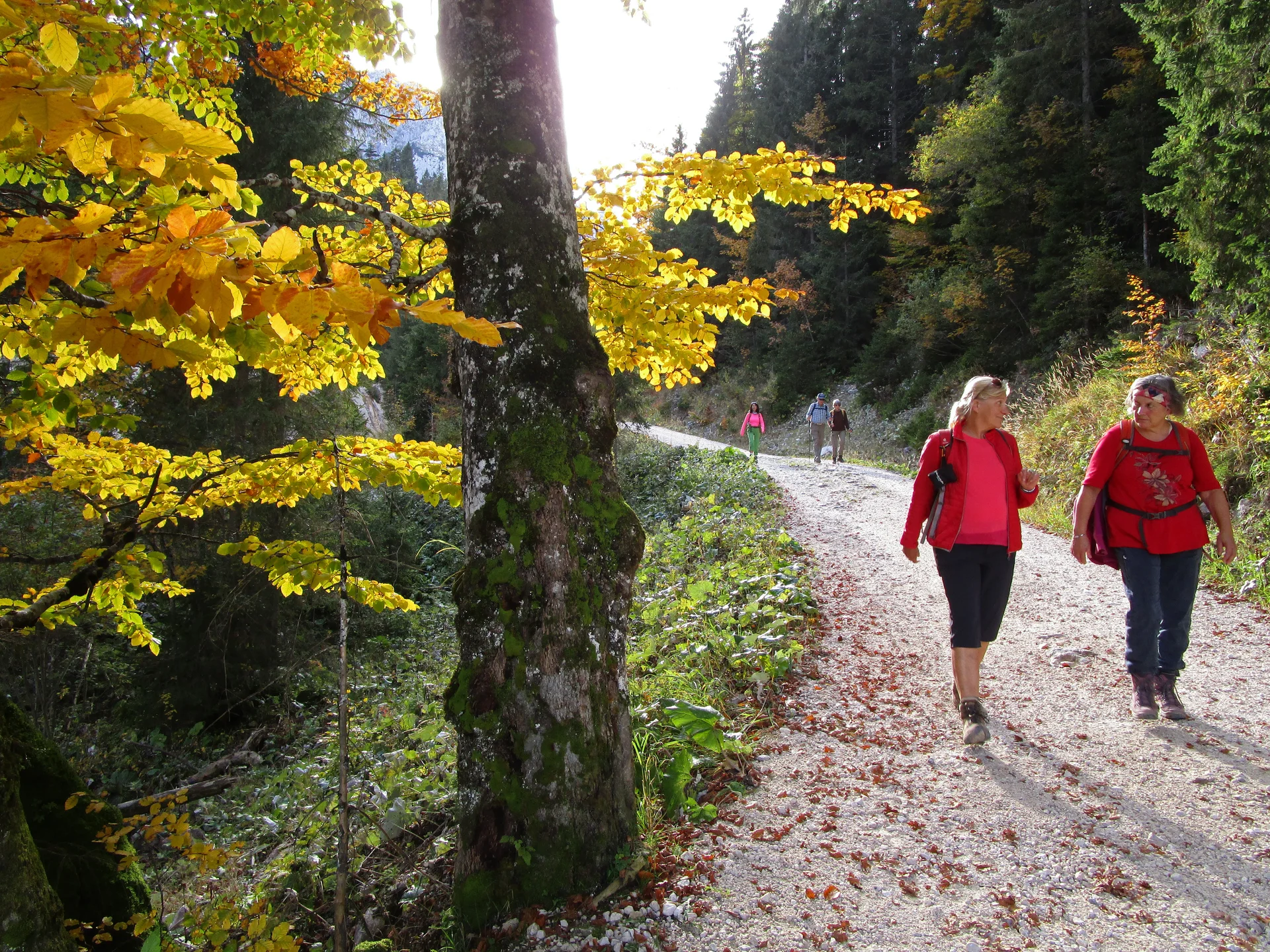 © DAC Augsburg Senioren