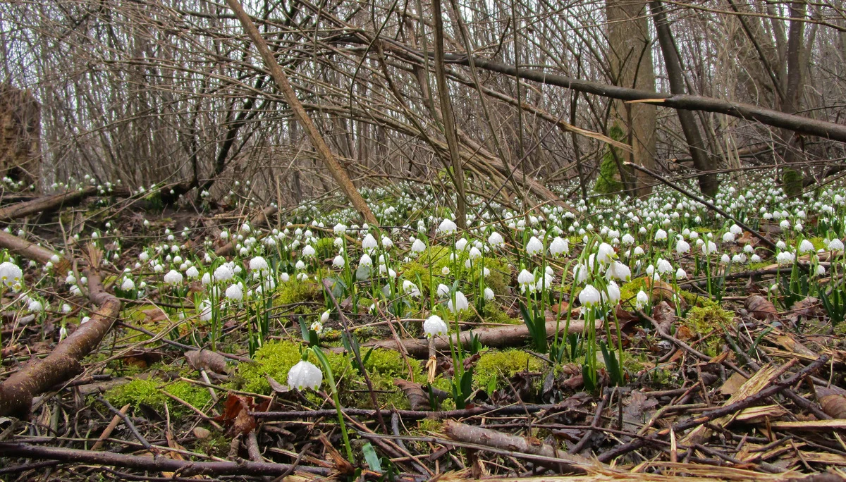 © DAV Augsburg Senioren