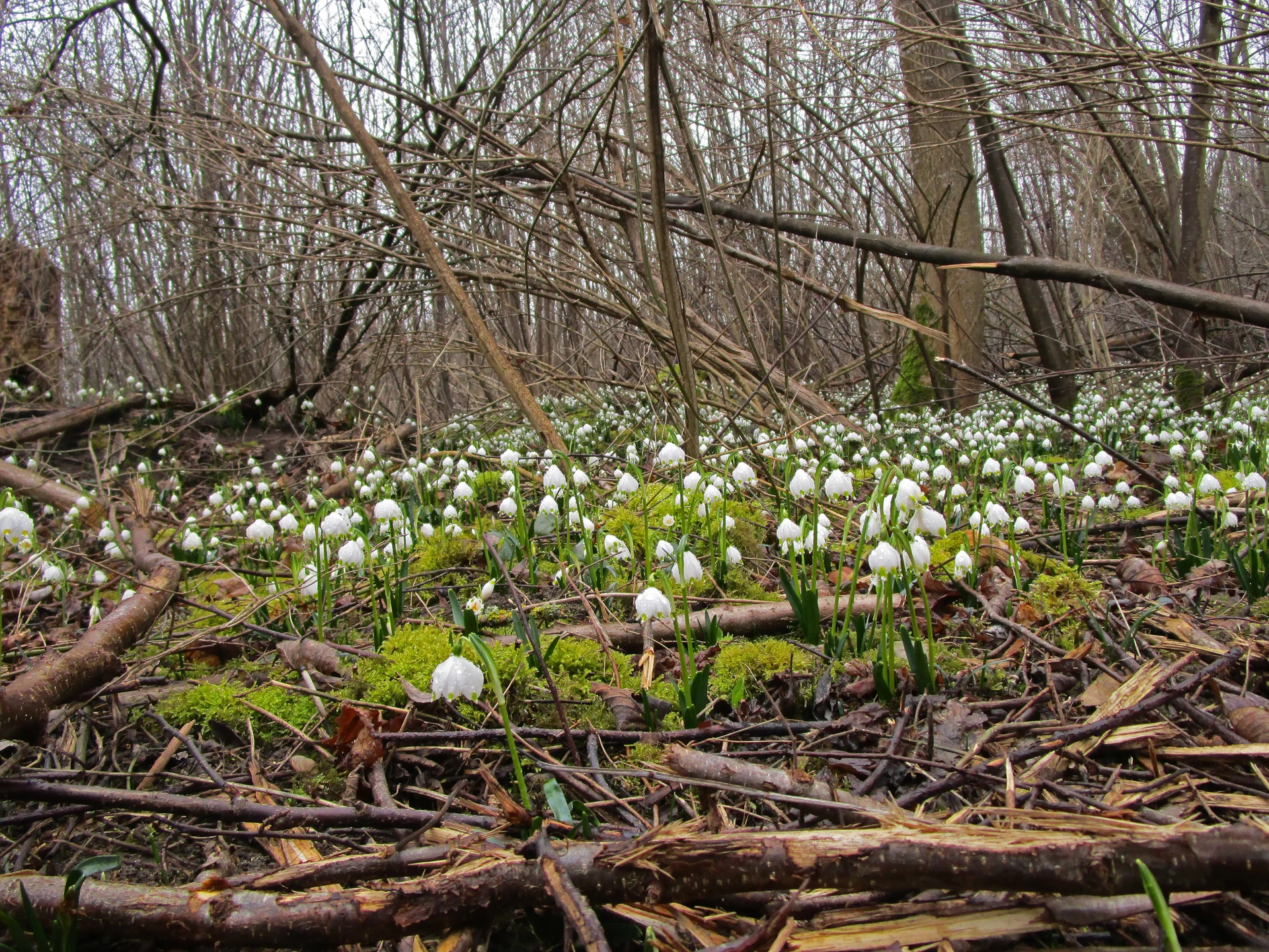 © DAV Augsburg Senioren