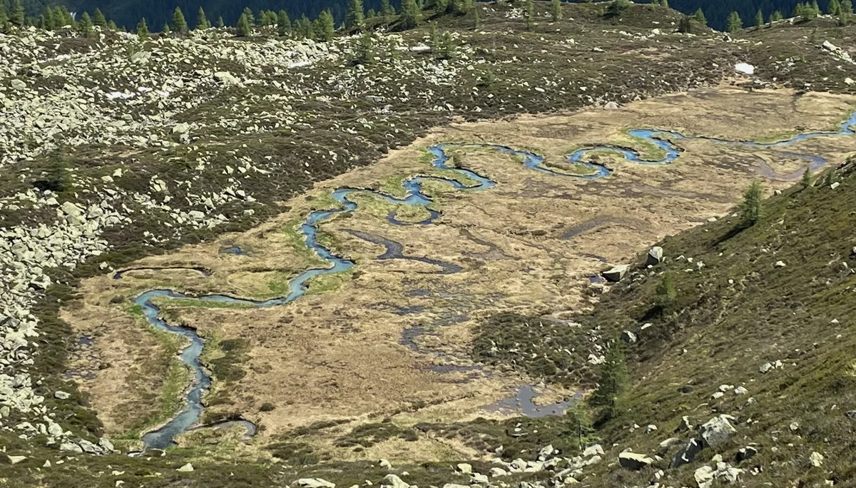 Gr. B Kasern - Waldner Alm - Waldnersee | © DAV-Augsburg Senioren