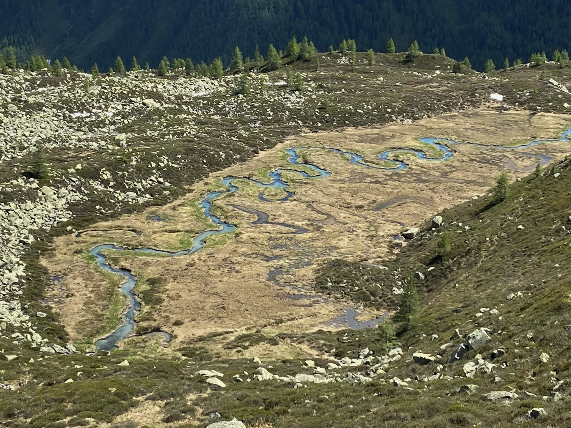 Gr. B Kasern - Waldner Alm - Waldnersee | © DAV-Augsburg Senioren
