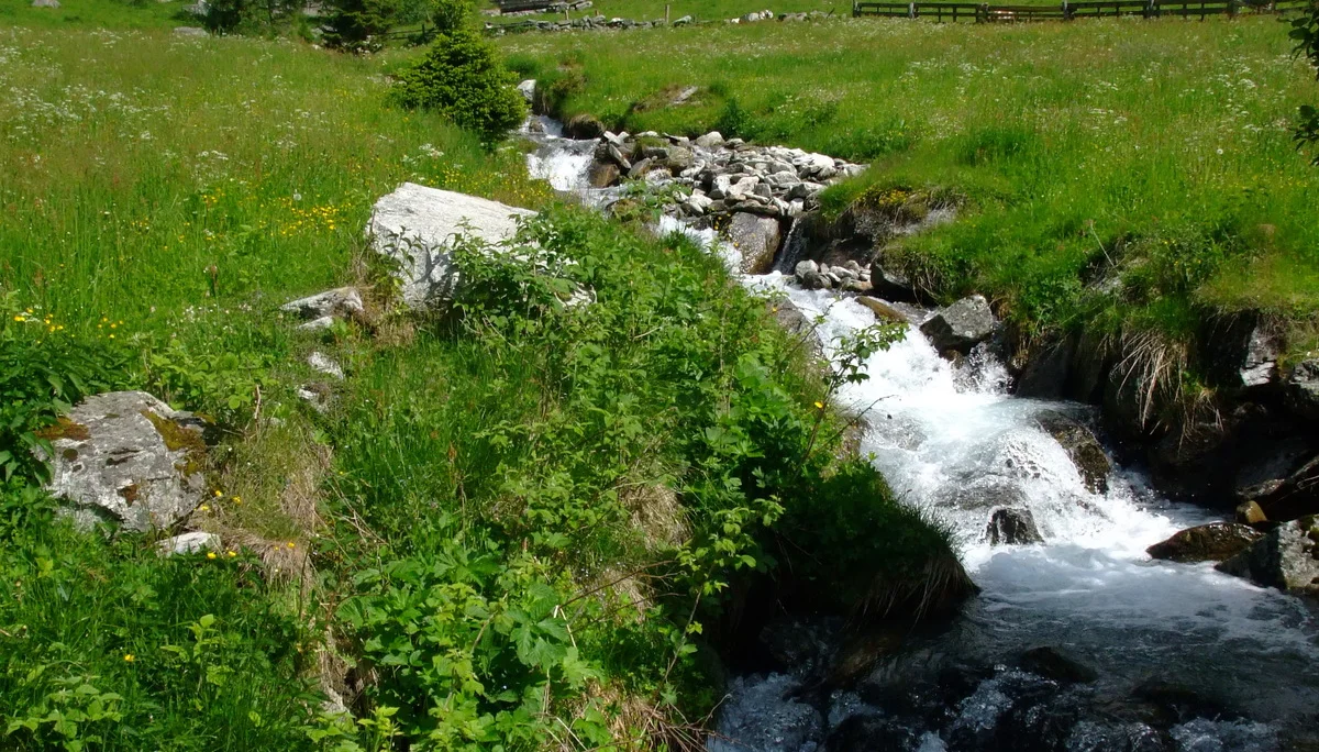 Gr. D Riesa Alm | © DAV-Augsburg Senioren